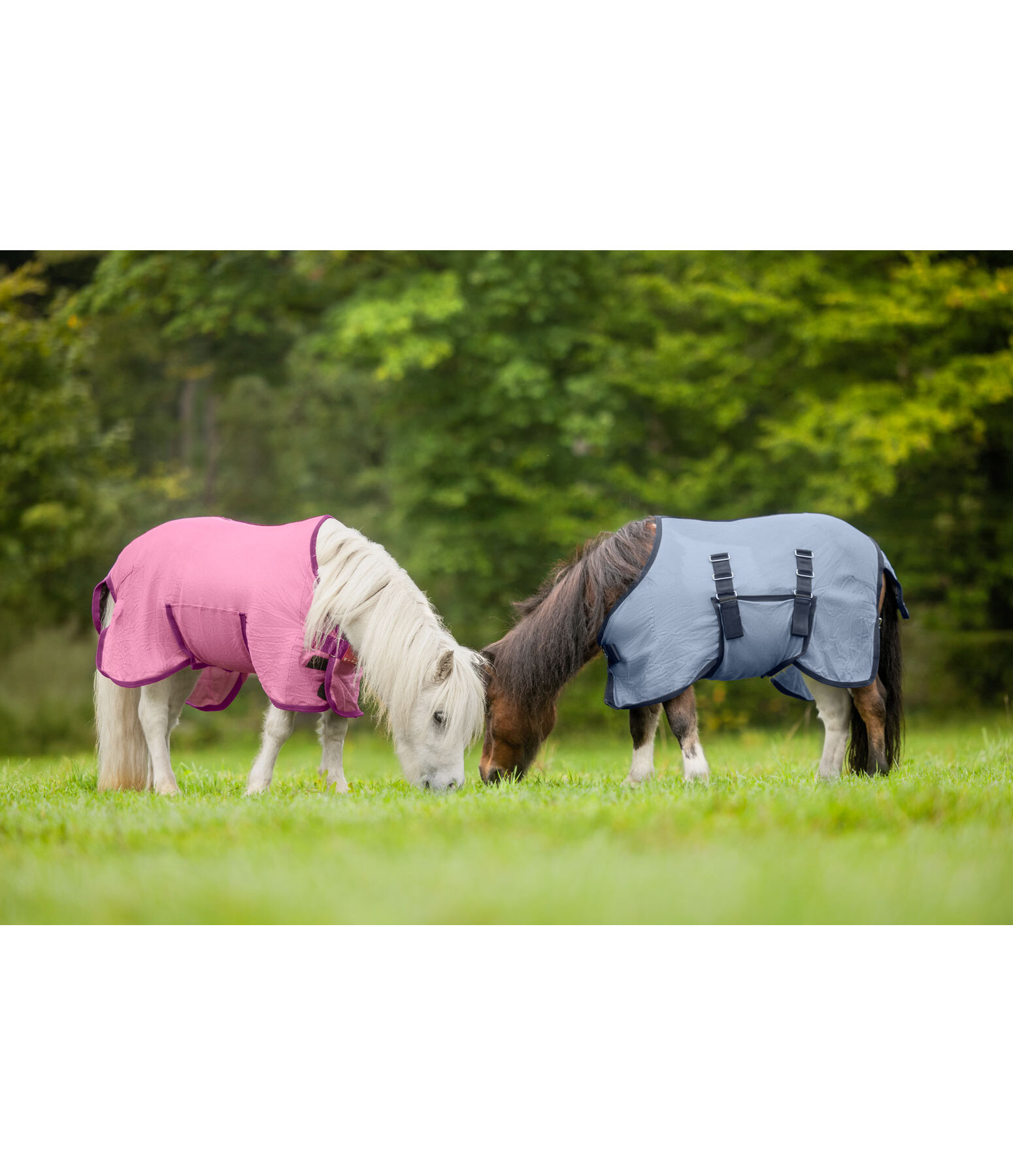 Couverture anti-mouches poulain et mini shetland  Kubi Fly
