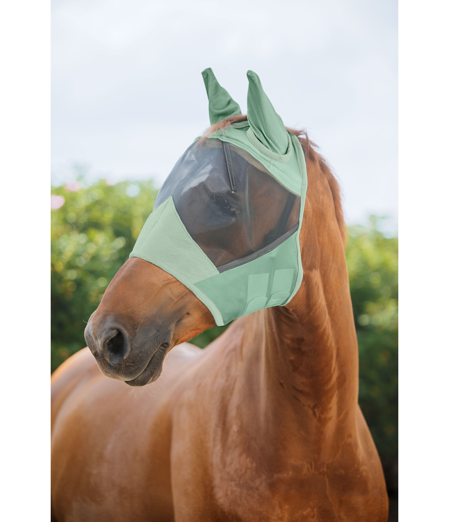 Masque anti-mouches  Basic