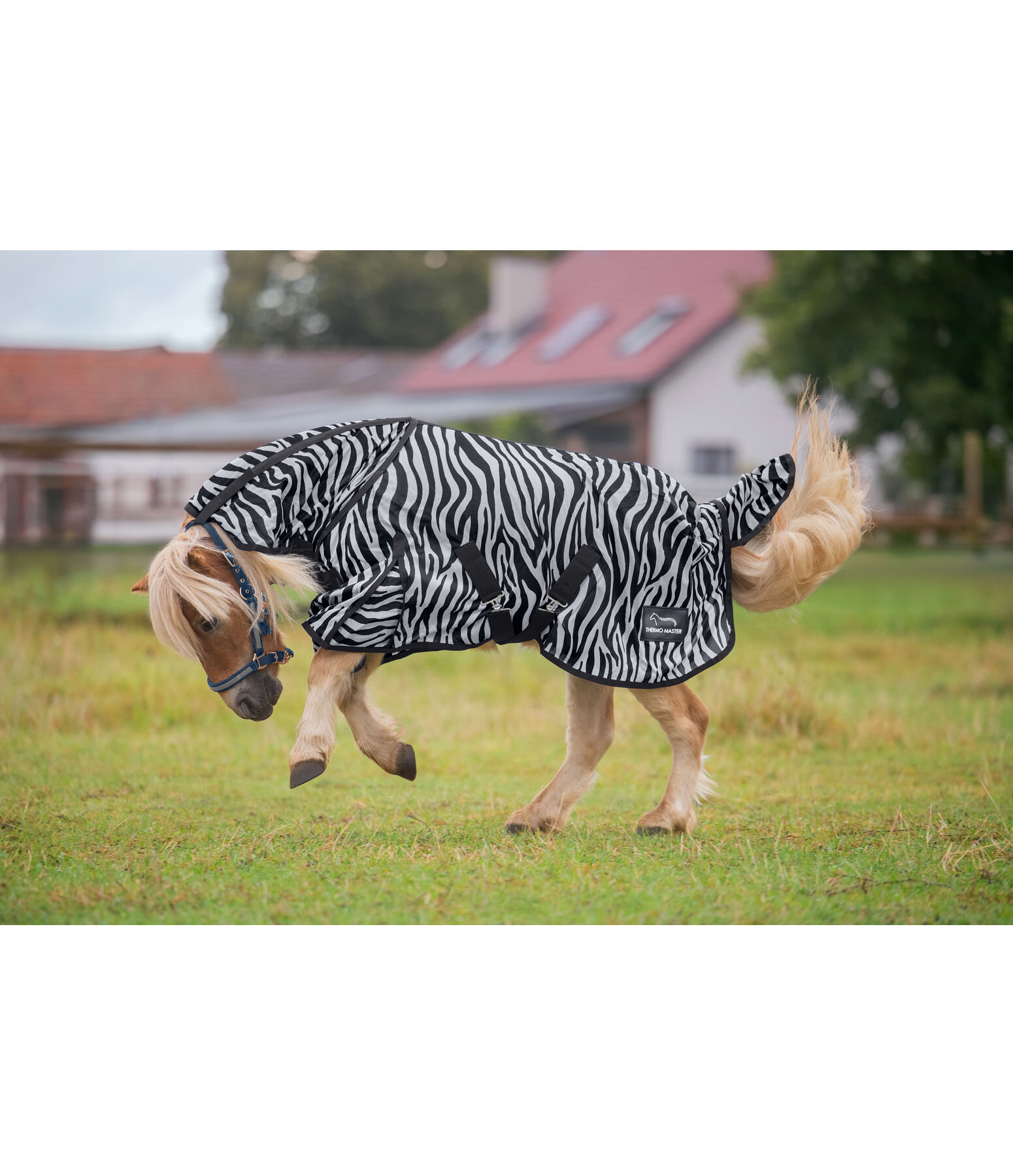 Chemise anti-mouches  Zebra Combo