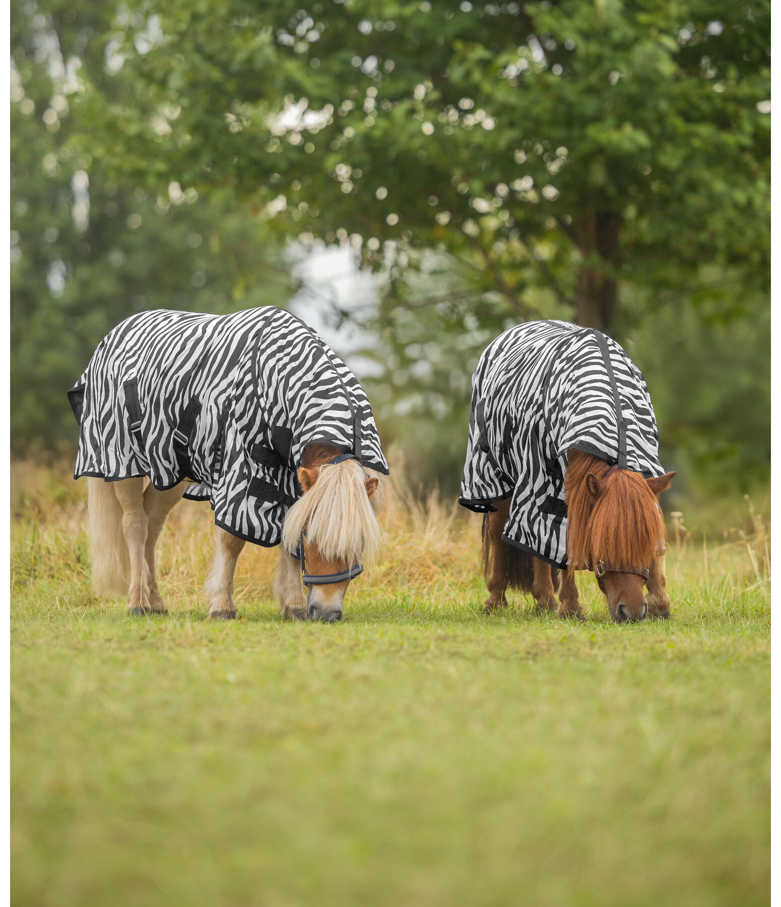 Chemise anti-mouches  Zebra Combo
