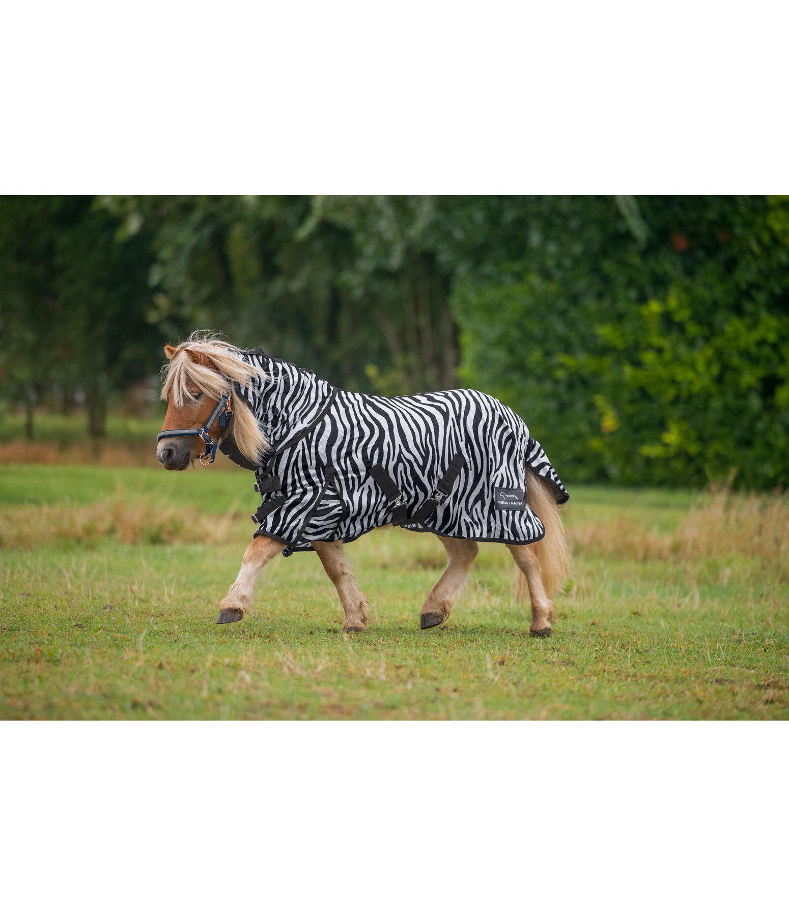 Chemise anti-mouches  Zebra Combo