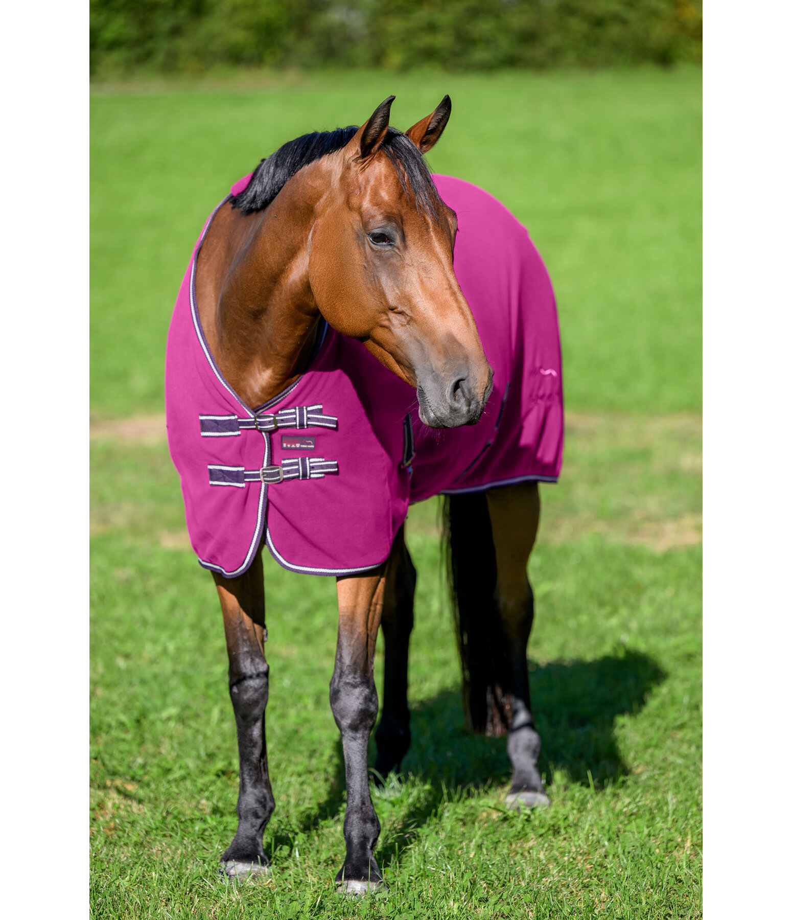 Chemise polaire  Activity