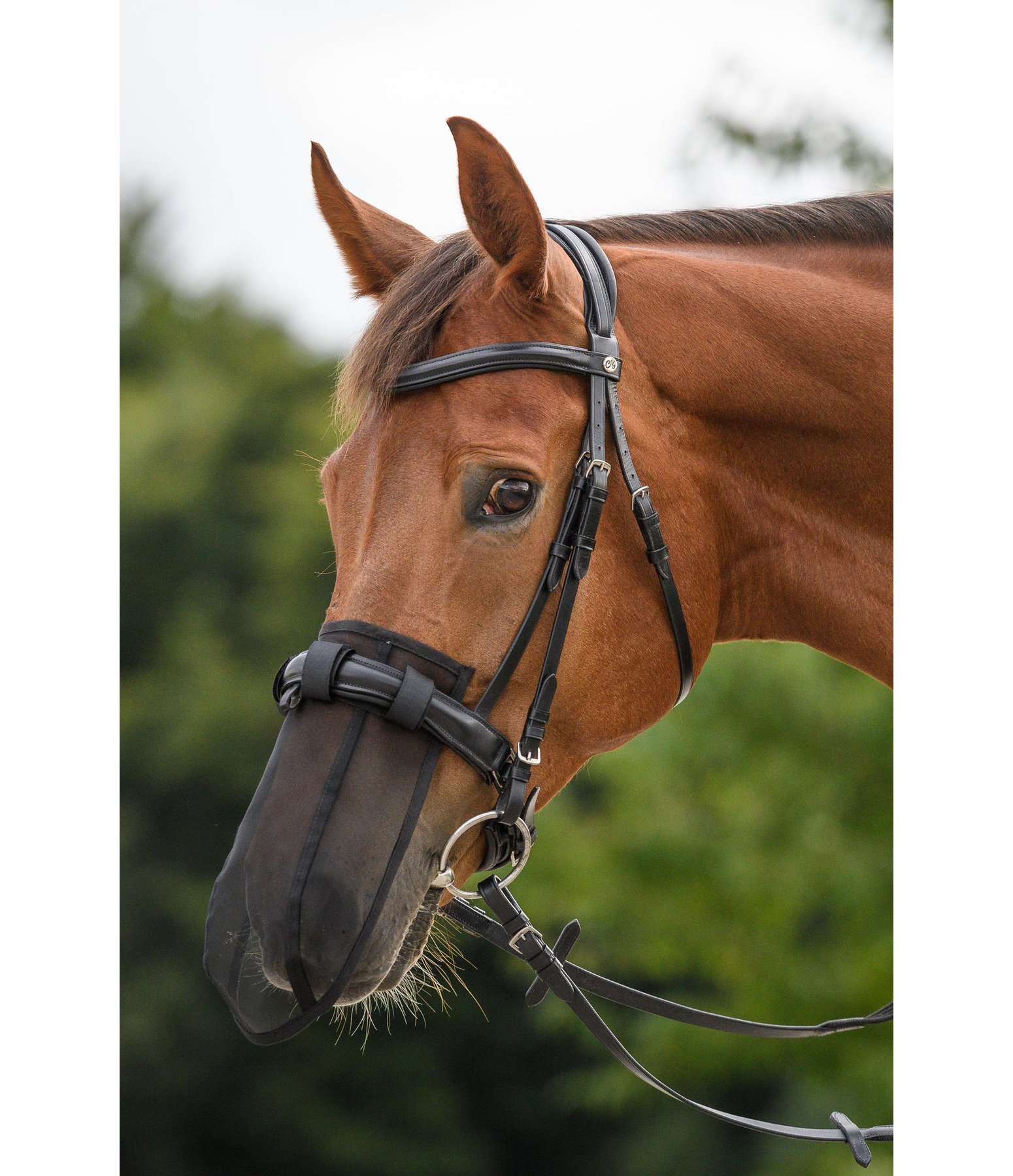 Protection de nez anti-encensement Equilibrium - accessoires cheval