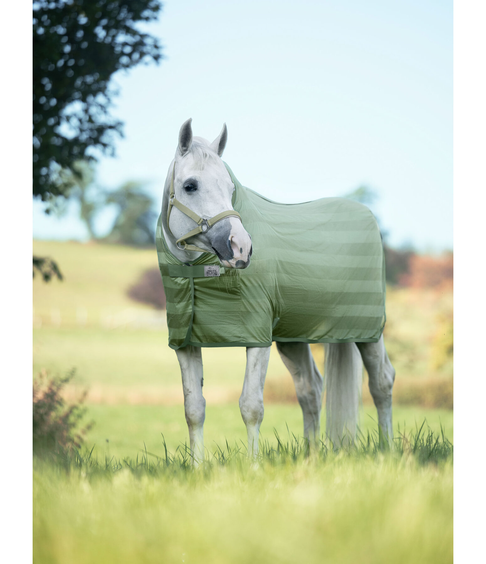 Chemise anti-mouches  Economy Light