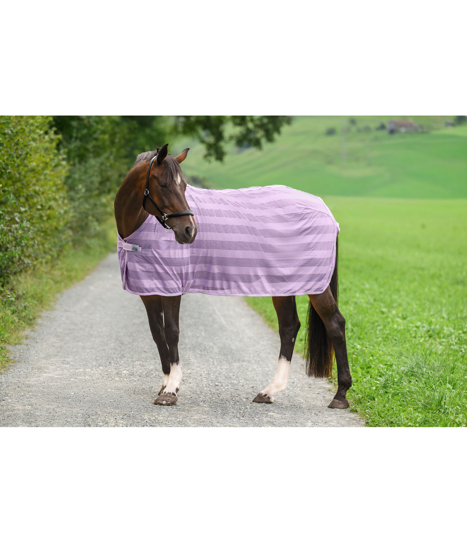 Chemise anti-mouches  Economy Light