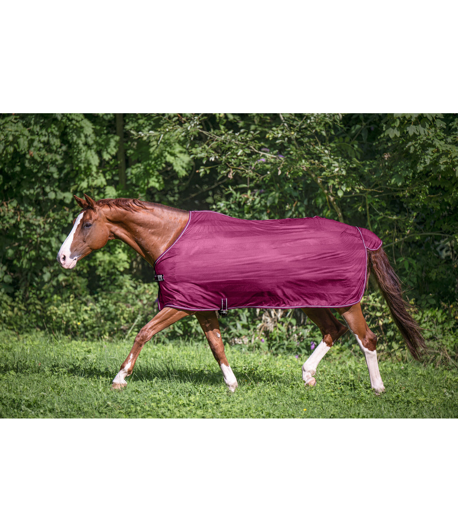 Chemise anti-mouches  Economy Light