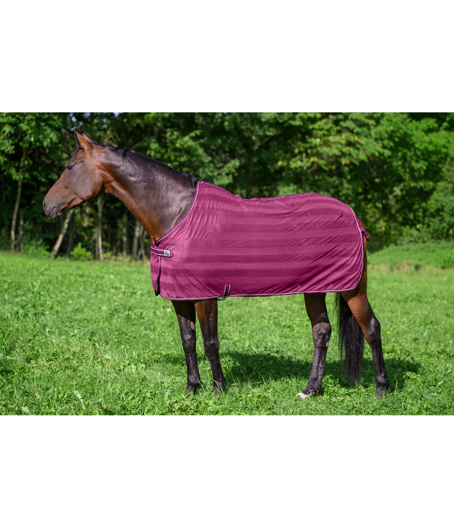 Chemise anti-mouches  Economy Light