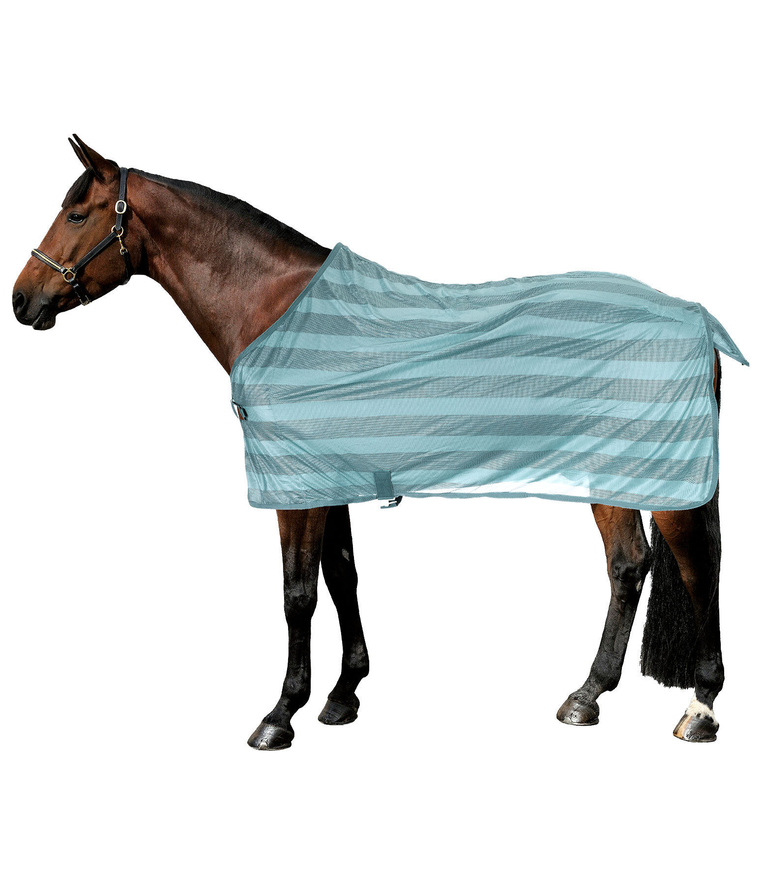 Chemise anti-mouches  Economy Light