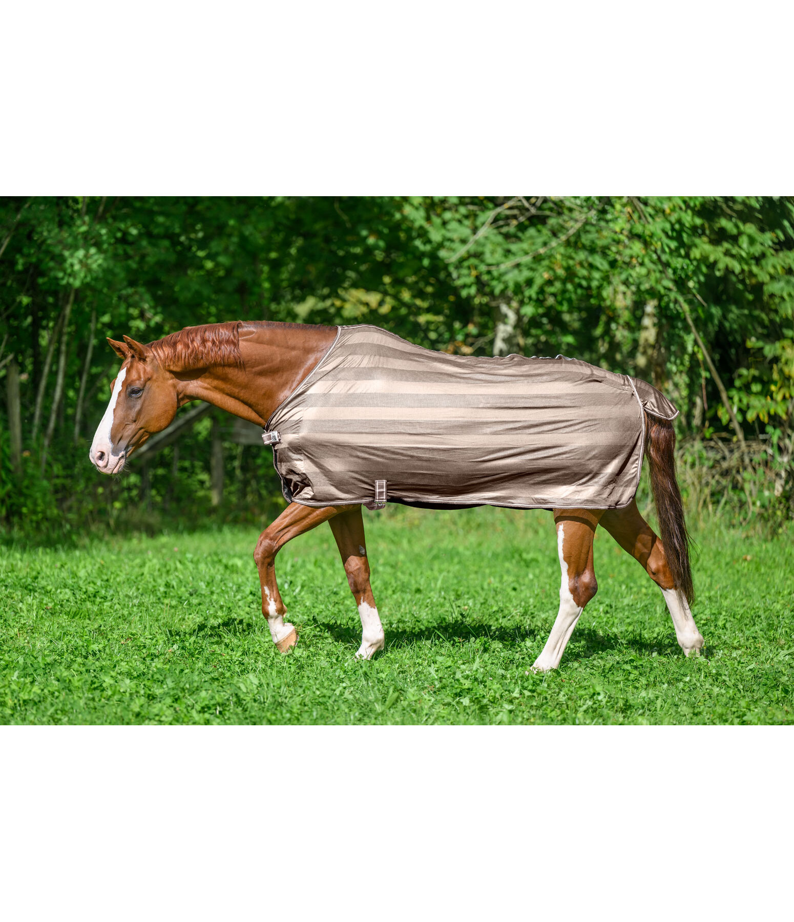 Chemise anti-mouches  Economy Light