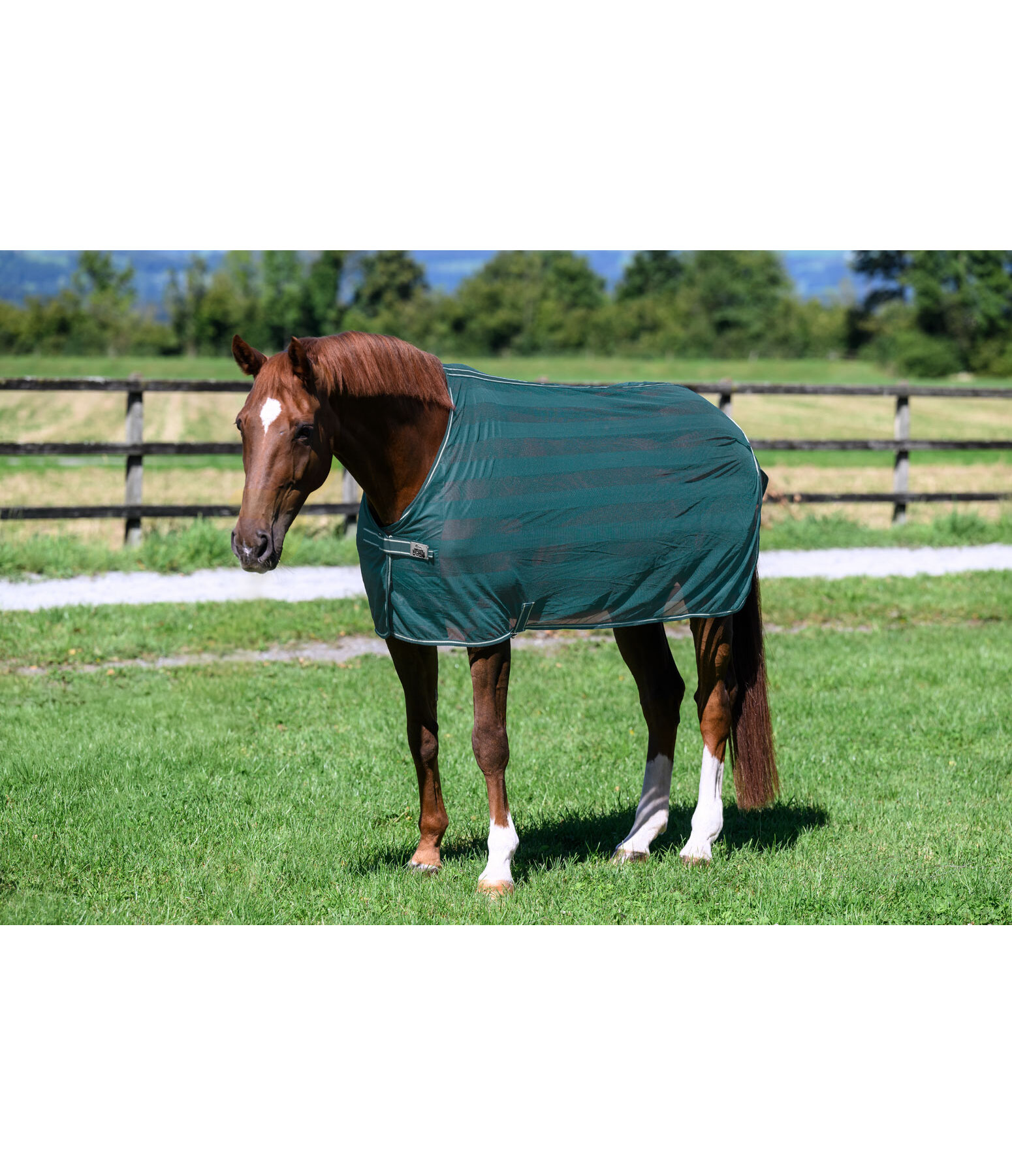 Chemise anti-mouches  Economy Light