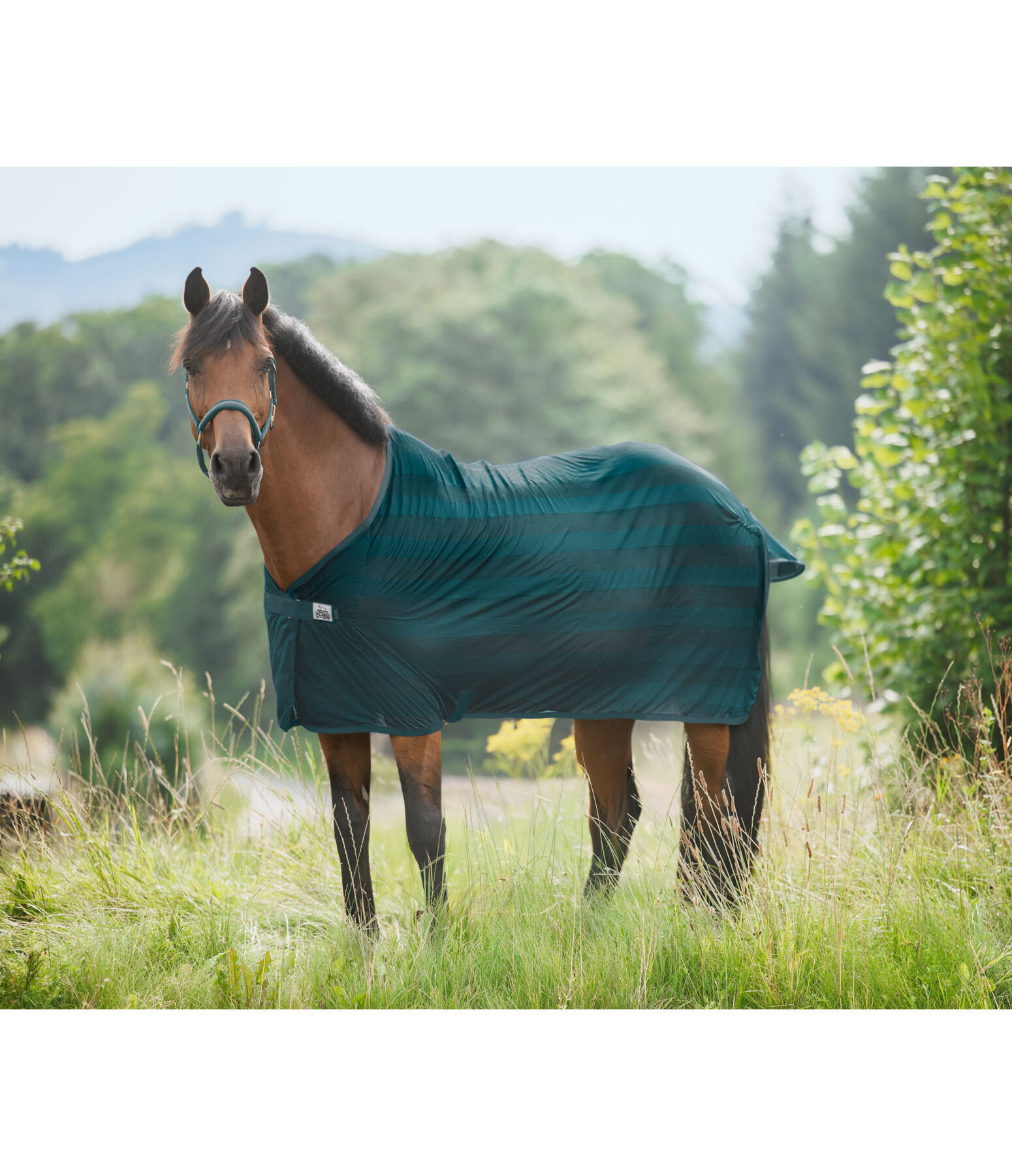 Chemise anti-mouches  Economy Light