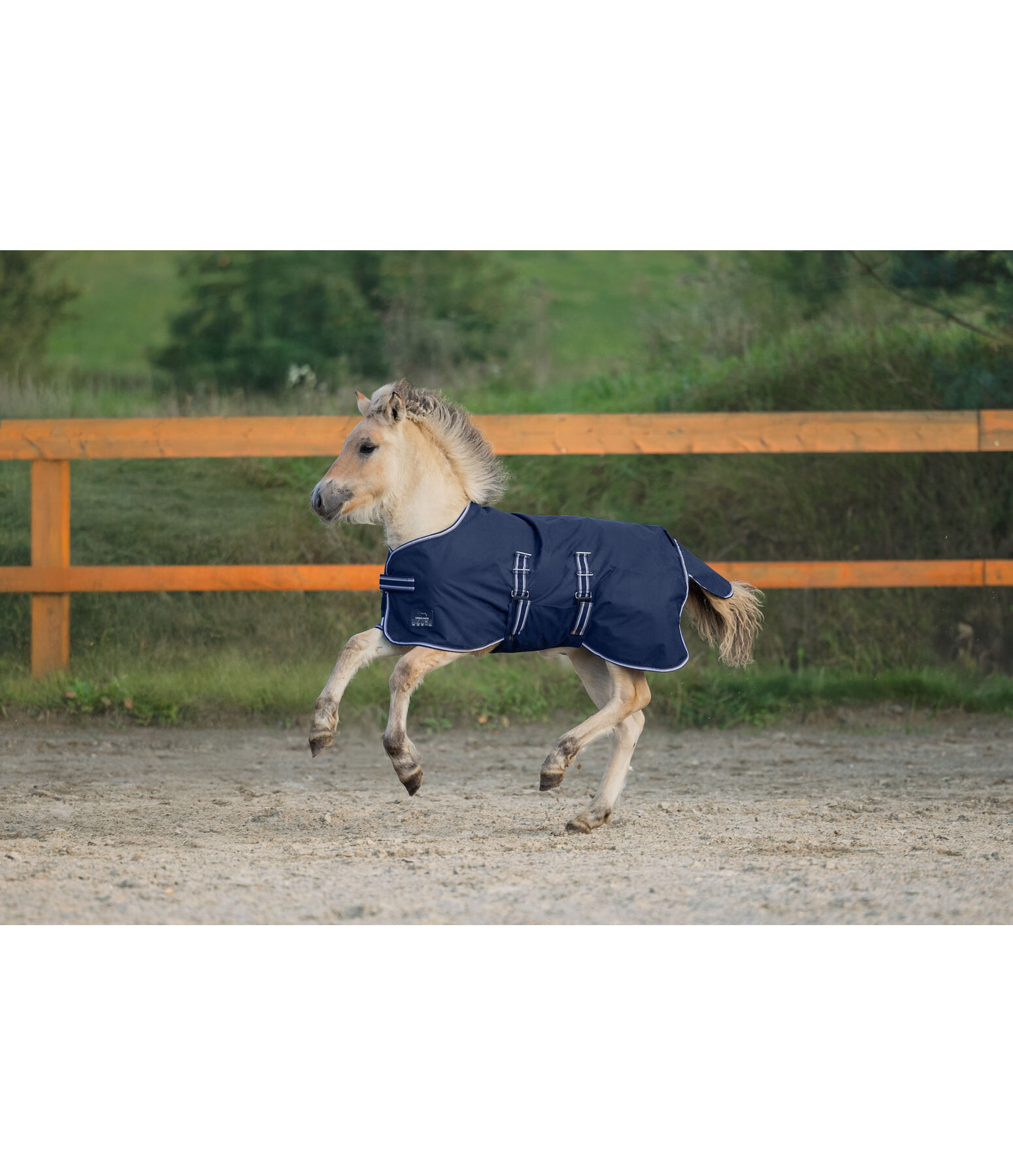 Chemise de pluie pour shetland et poulain  Kubi, 0 g