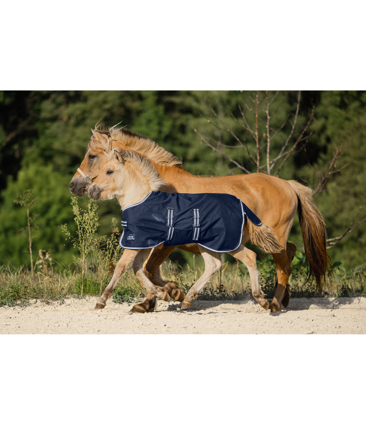 Chemise de pluie pour shetland et poulain  Kubi, 0 g
