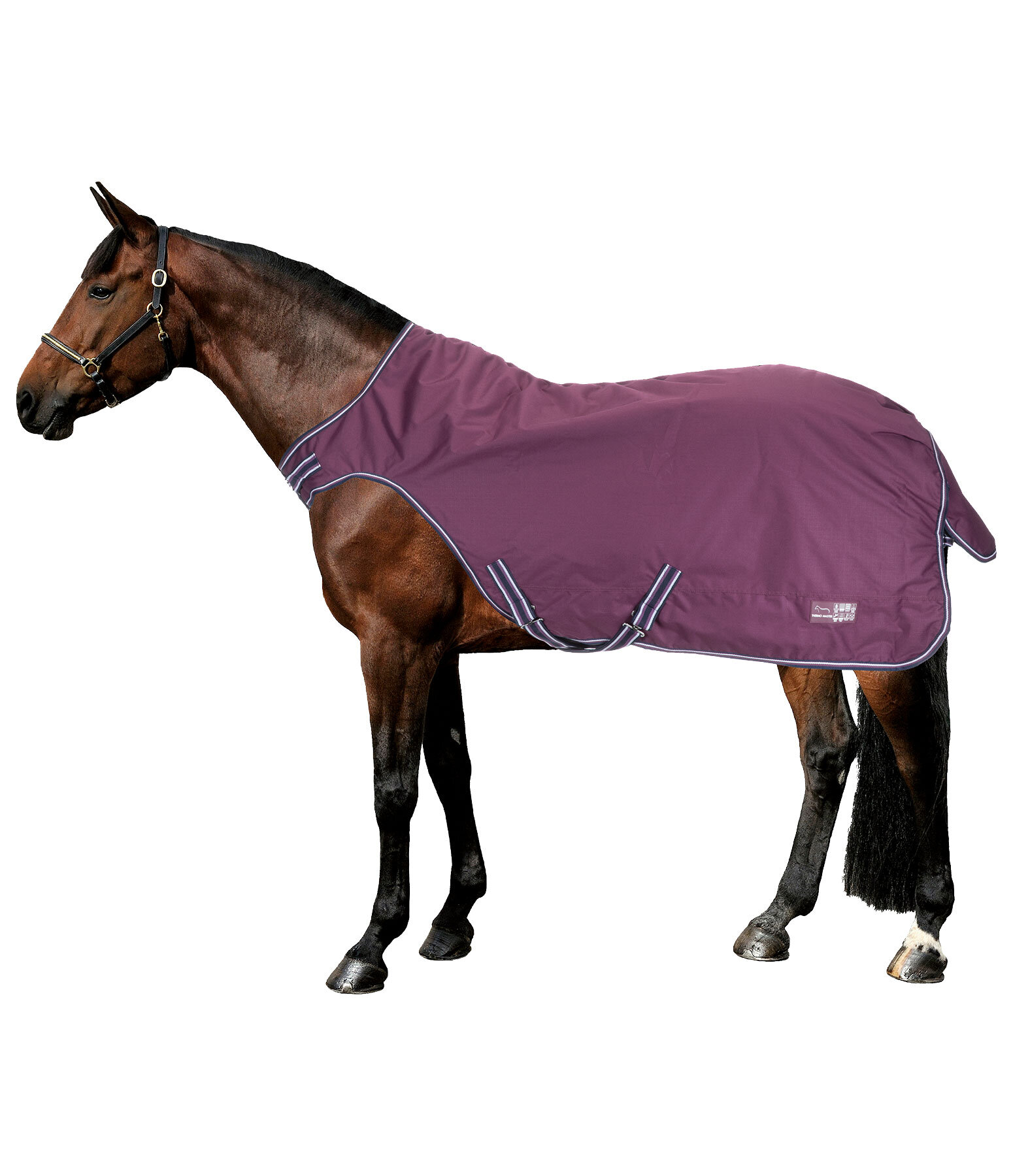 Chemise de marcheur impermable  Kasimo II, 0 g
