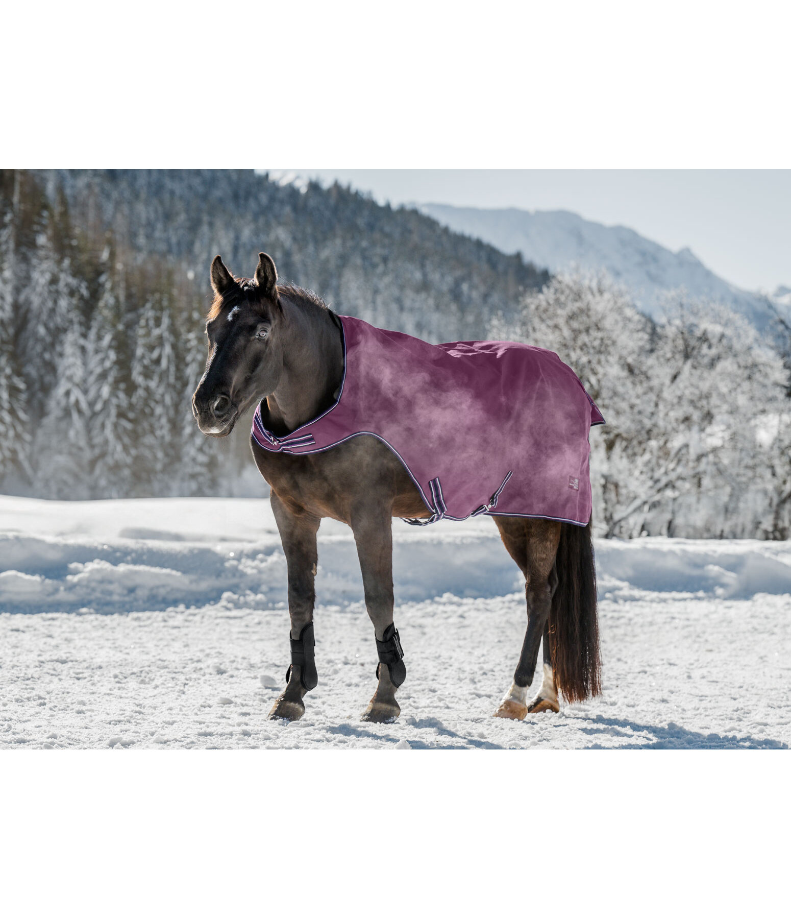 Chemise de marcheur impermable  Kasimo II, 0 g