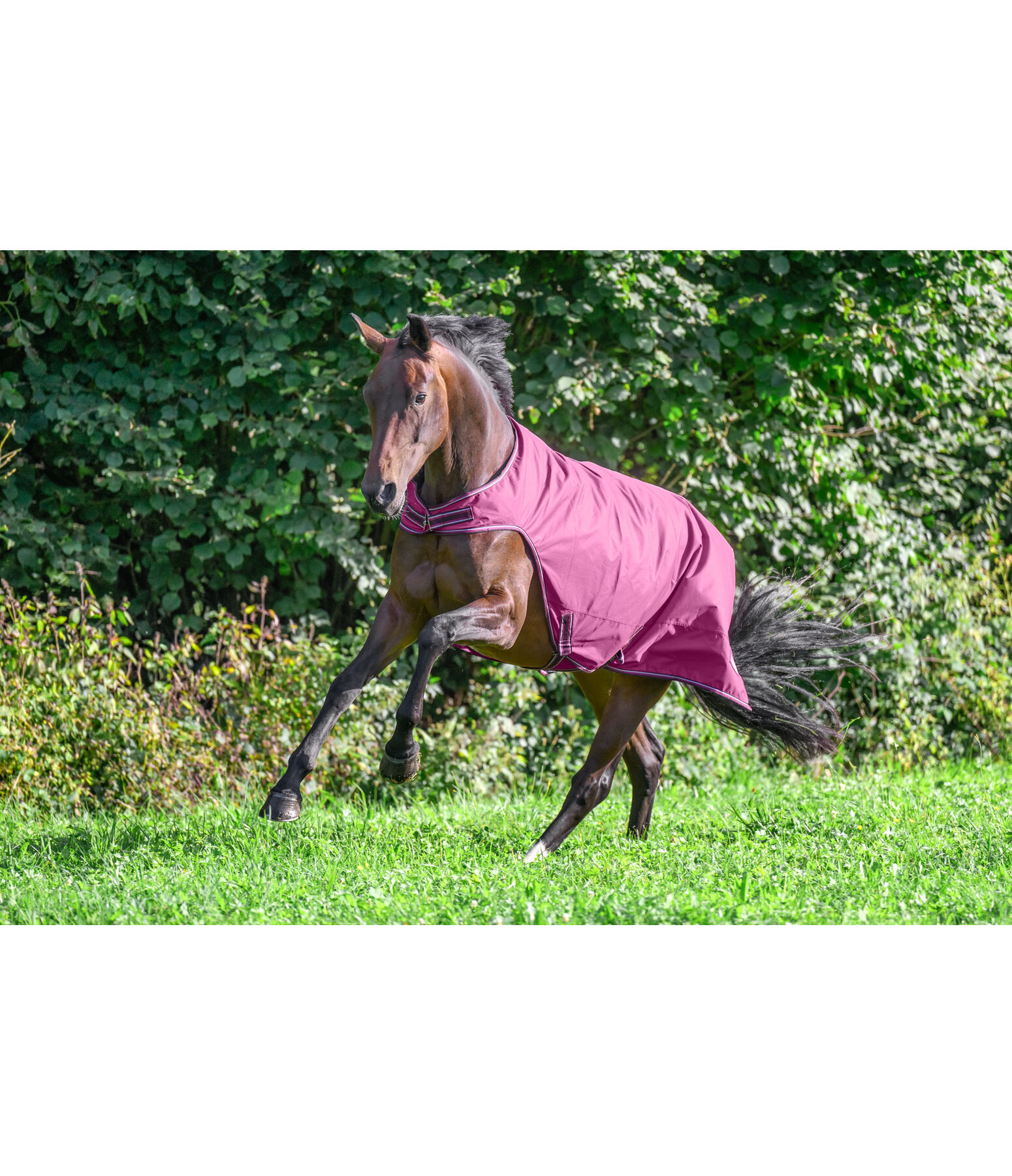 Chemise de marcheur imperm�able  Kasimo II, 0 g