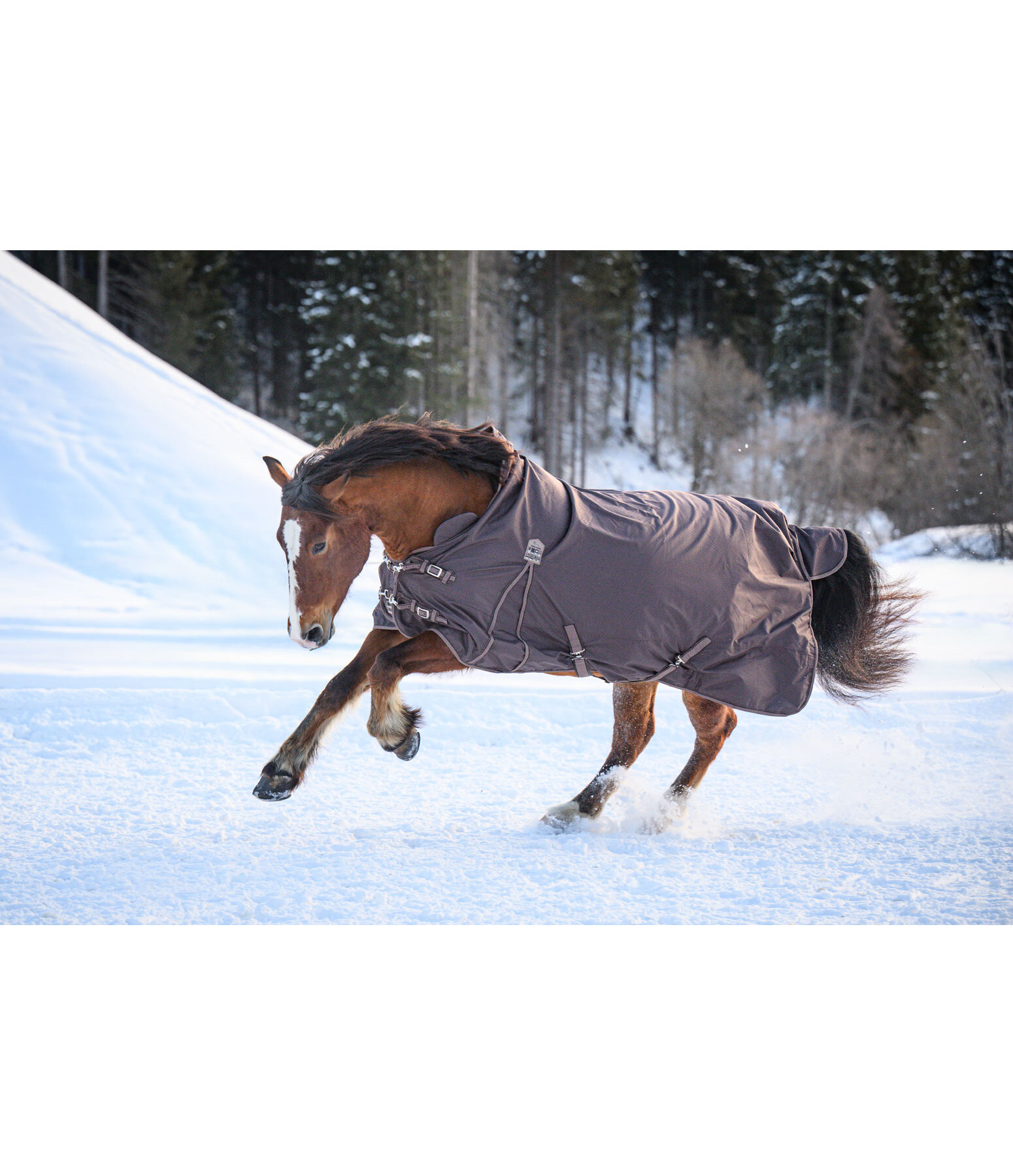 Chemise d'ext�rieur Highneck avec doublure polaire  Jesco II, 0 g