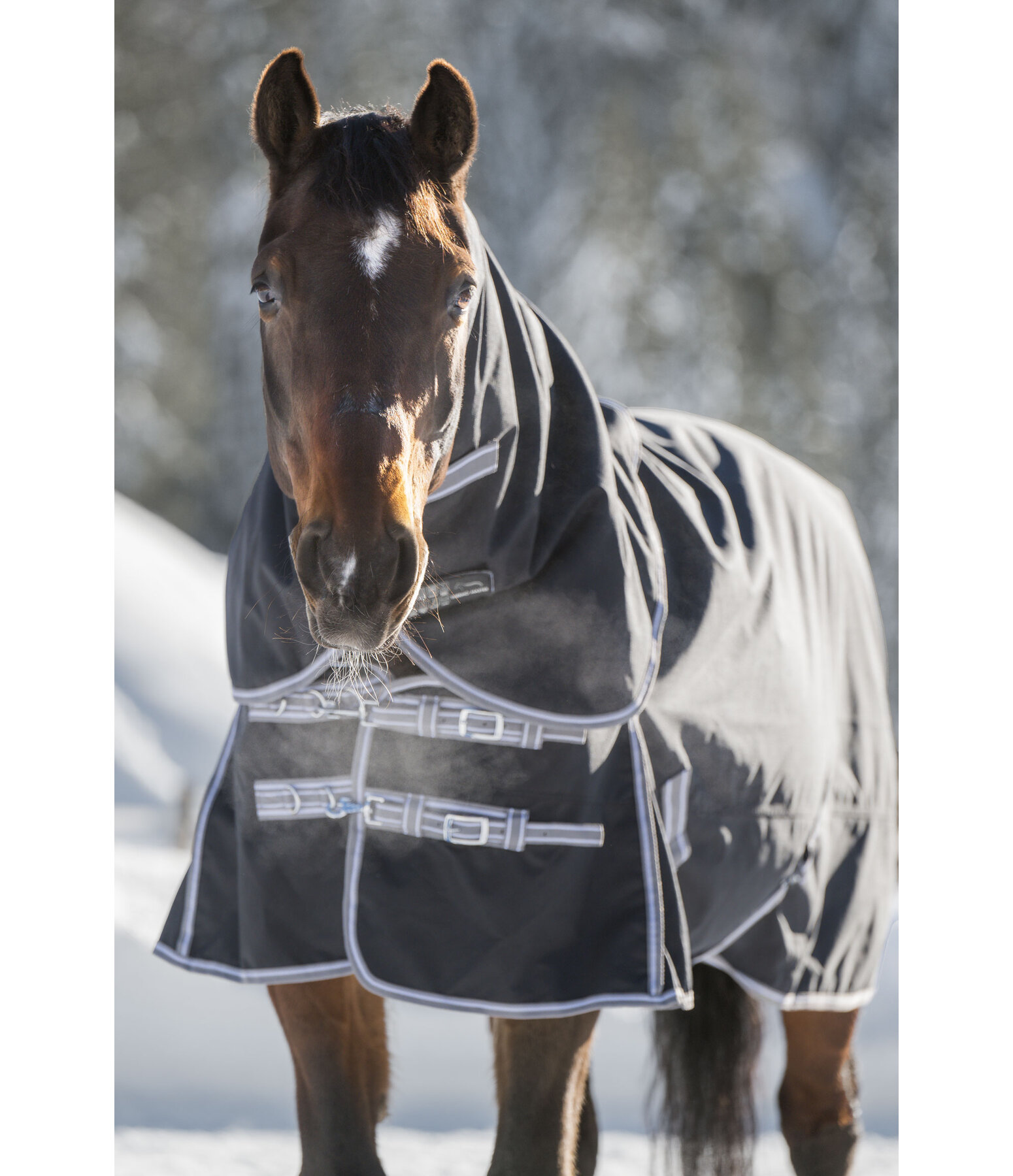 Chemise d'extrieur  combiner  Janice, 0 g