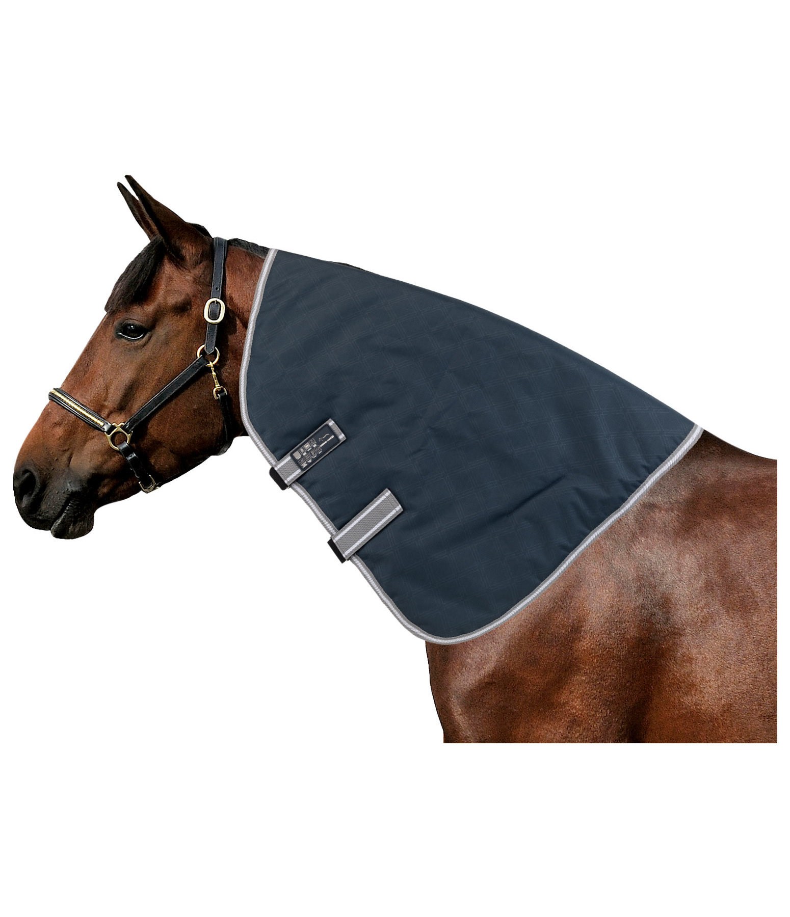 Protection de poitrail pour couverture cheval