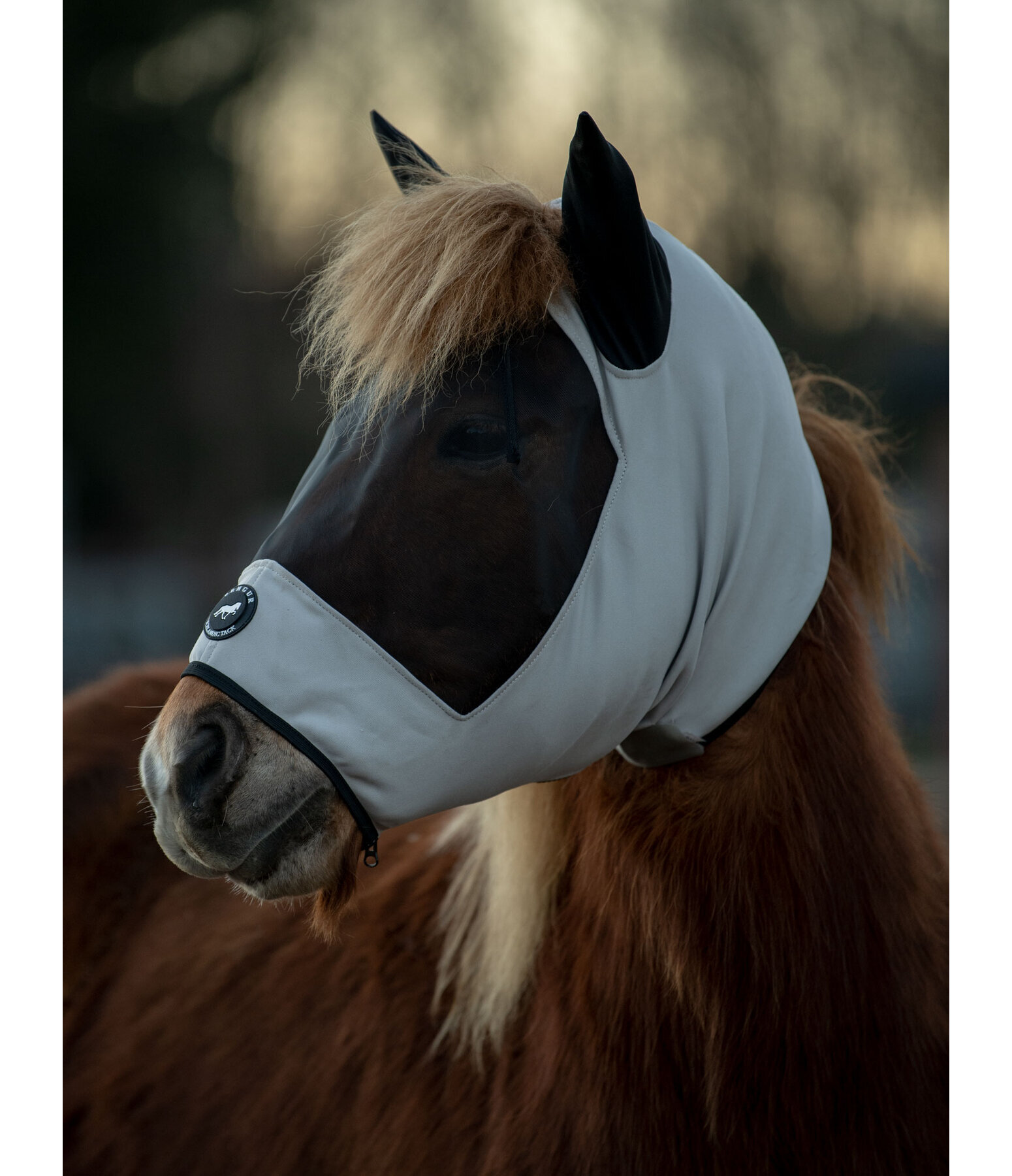 Masque anti-eczma pour chevaux islandais