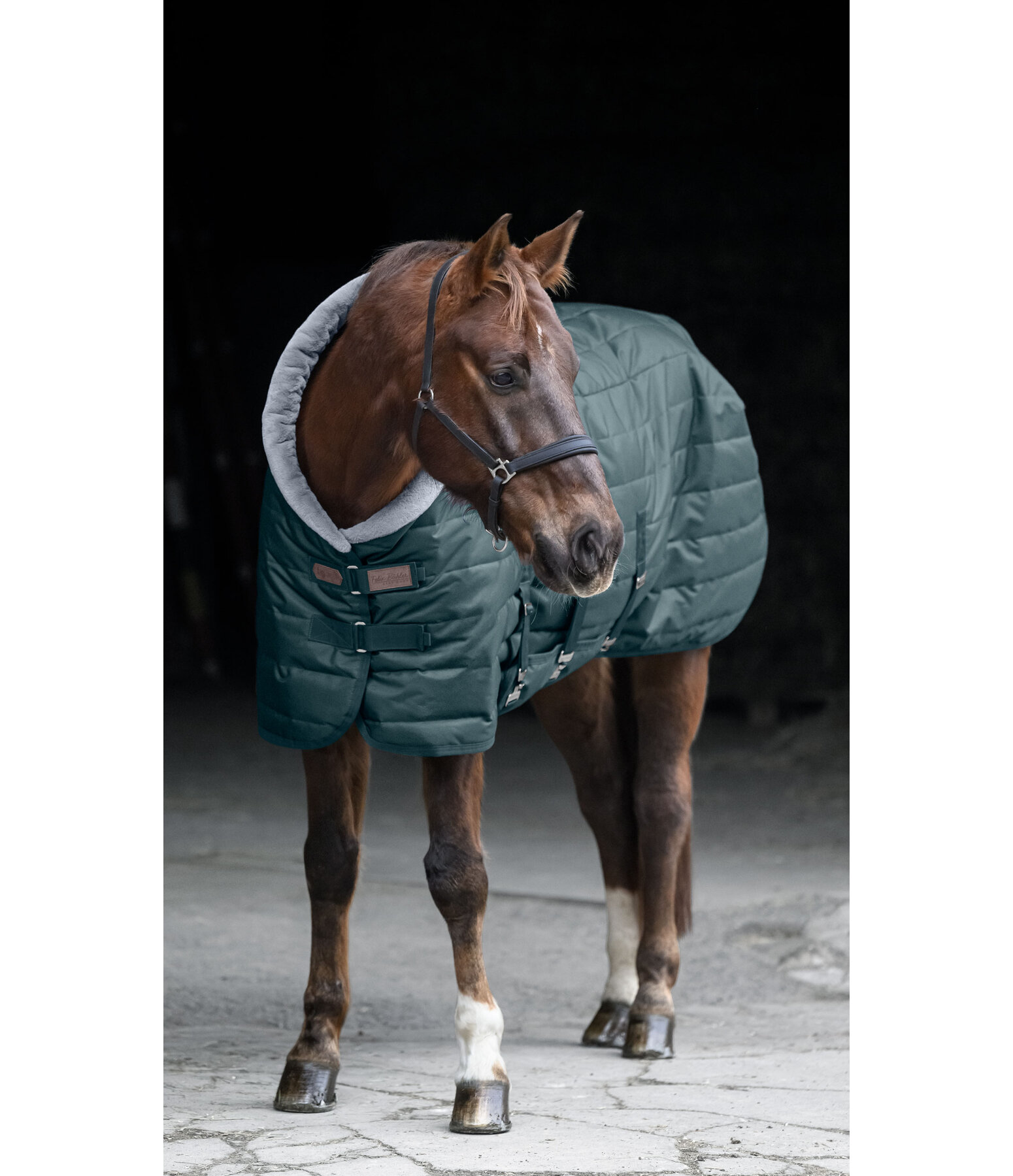 Chemise d'curie  Stay Cosy