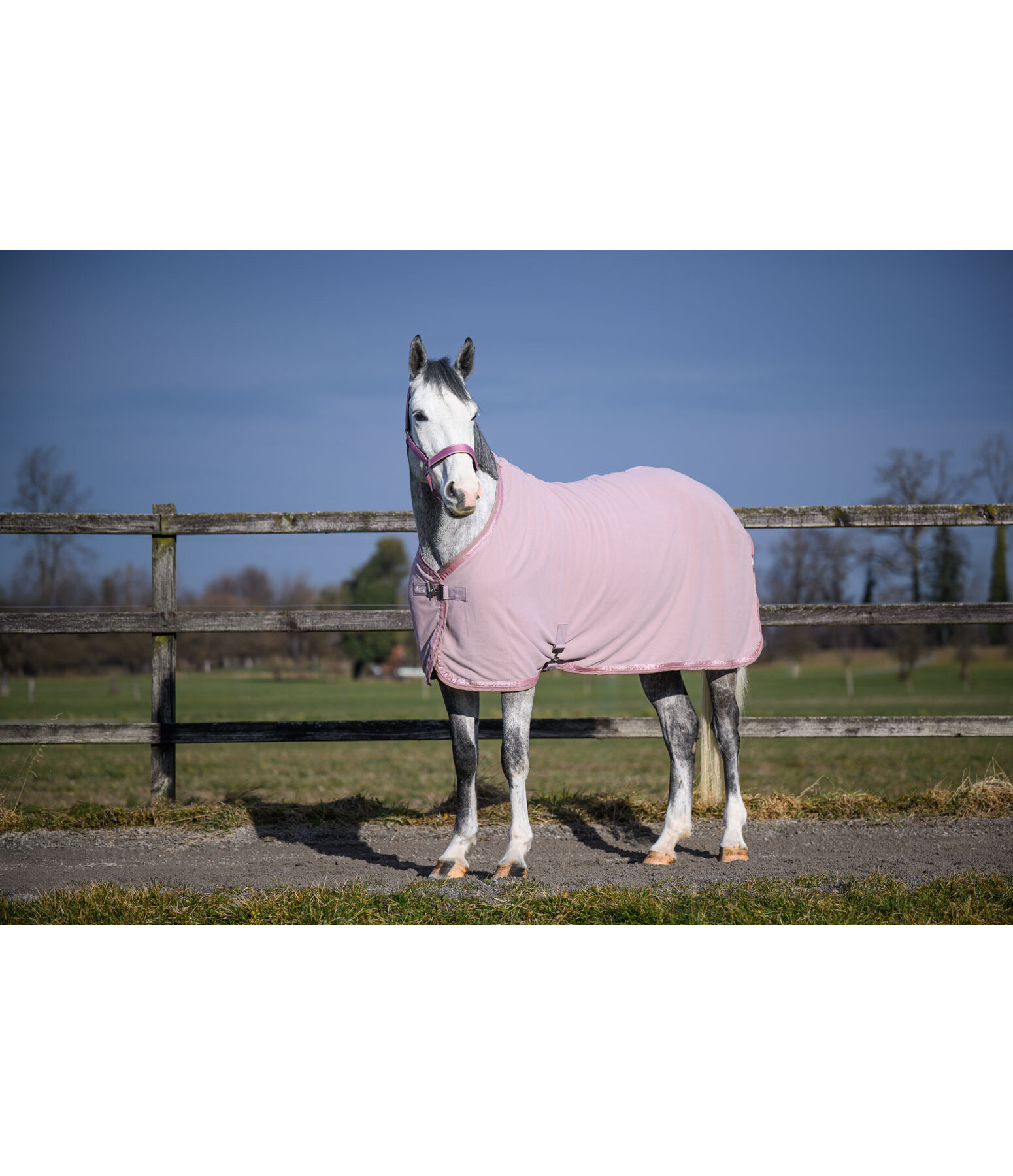 Chemise s�chante  Glitter