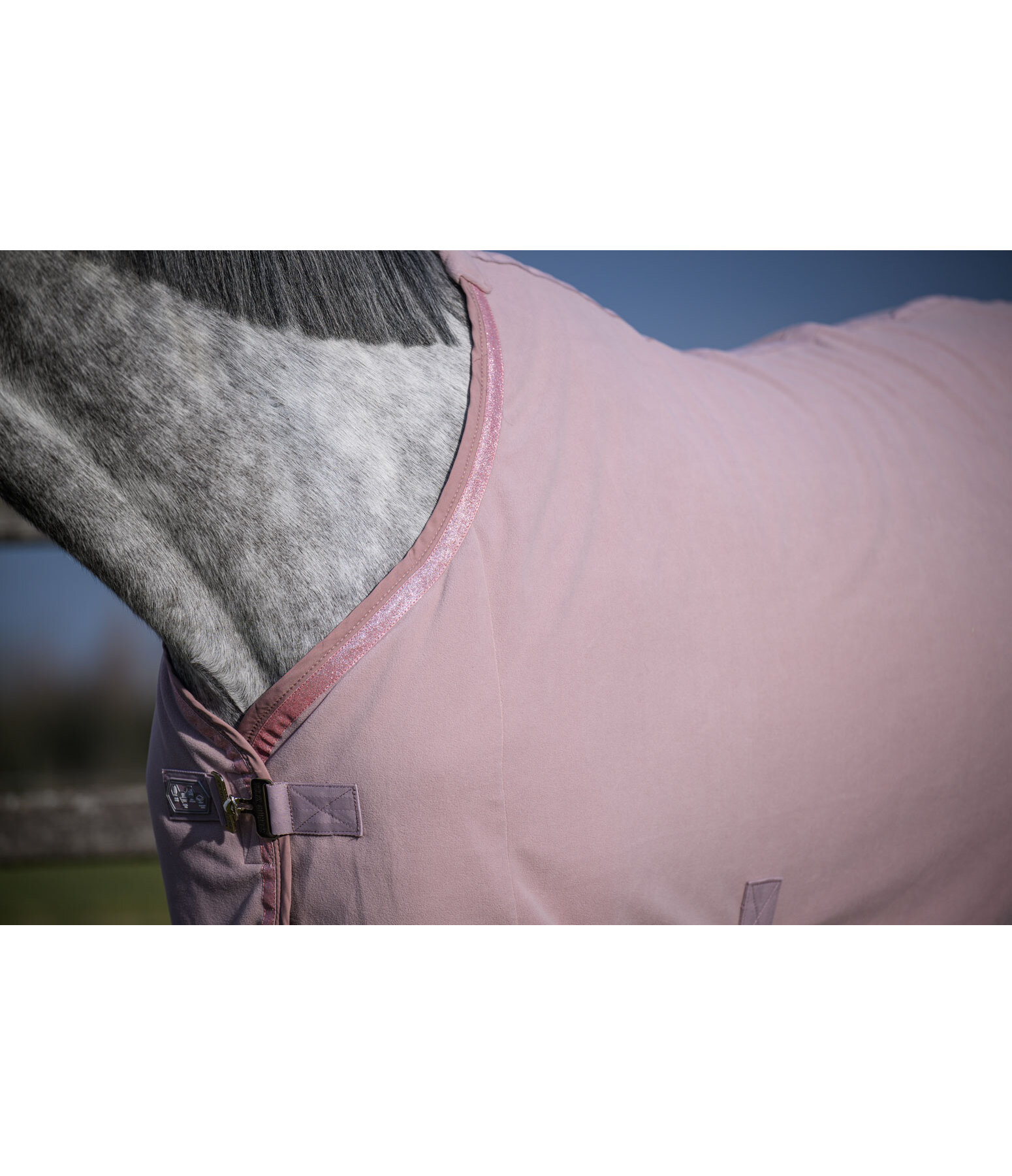 Chemise s�chante  Glitter