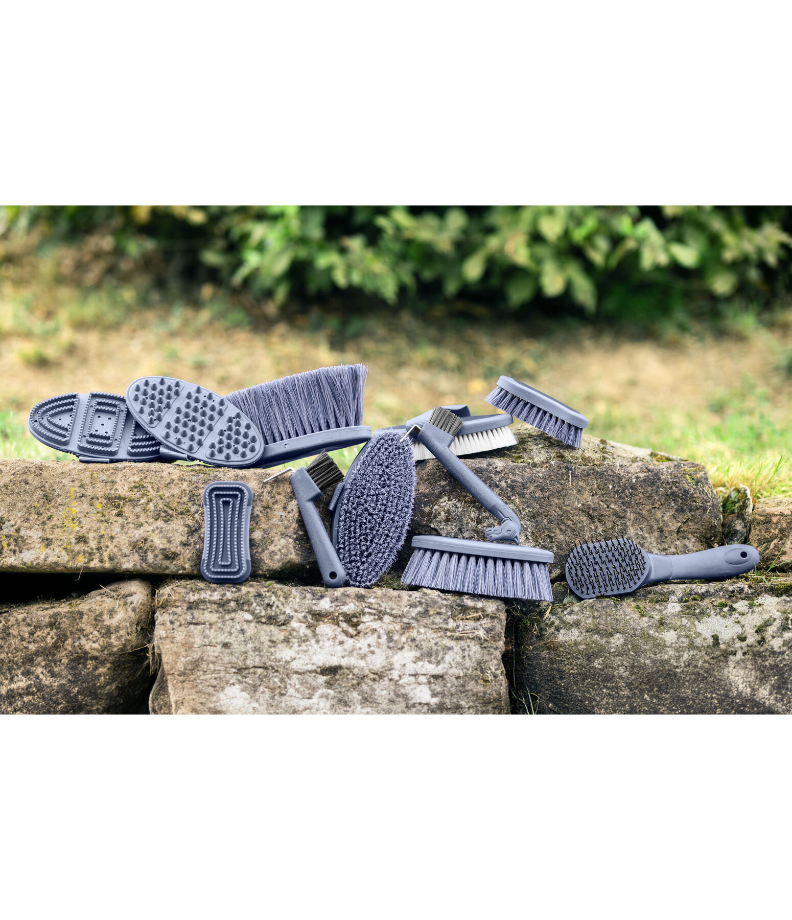 �trille de t�te  Scratchy