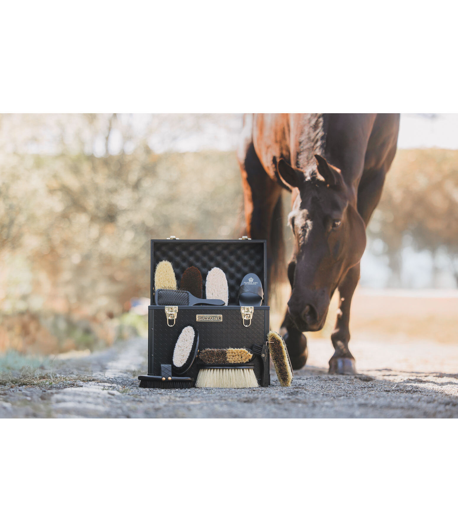 Coffre de pansage  Alu Case Classic Line