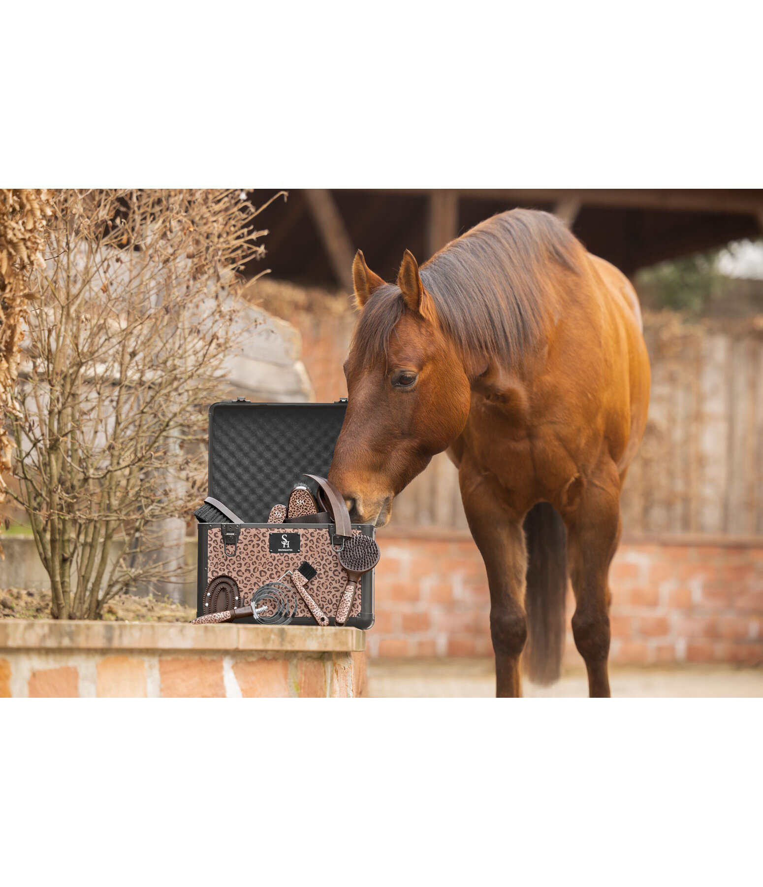 Bo�te de pansage  Leo