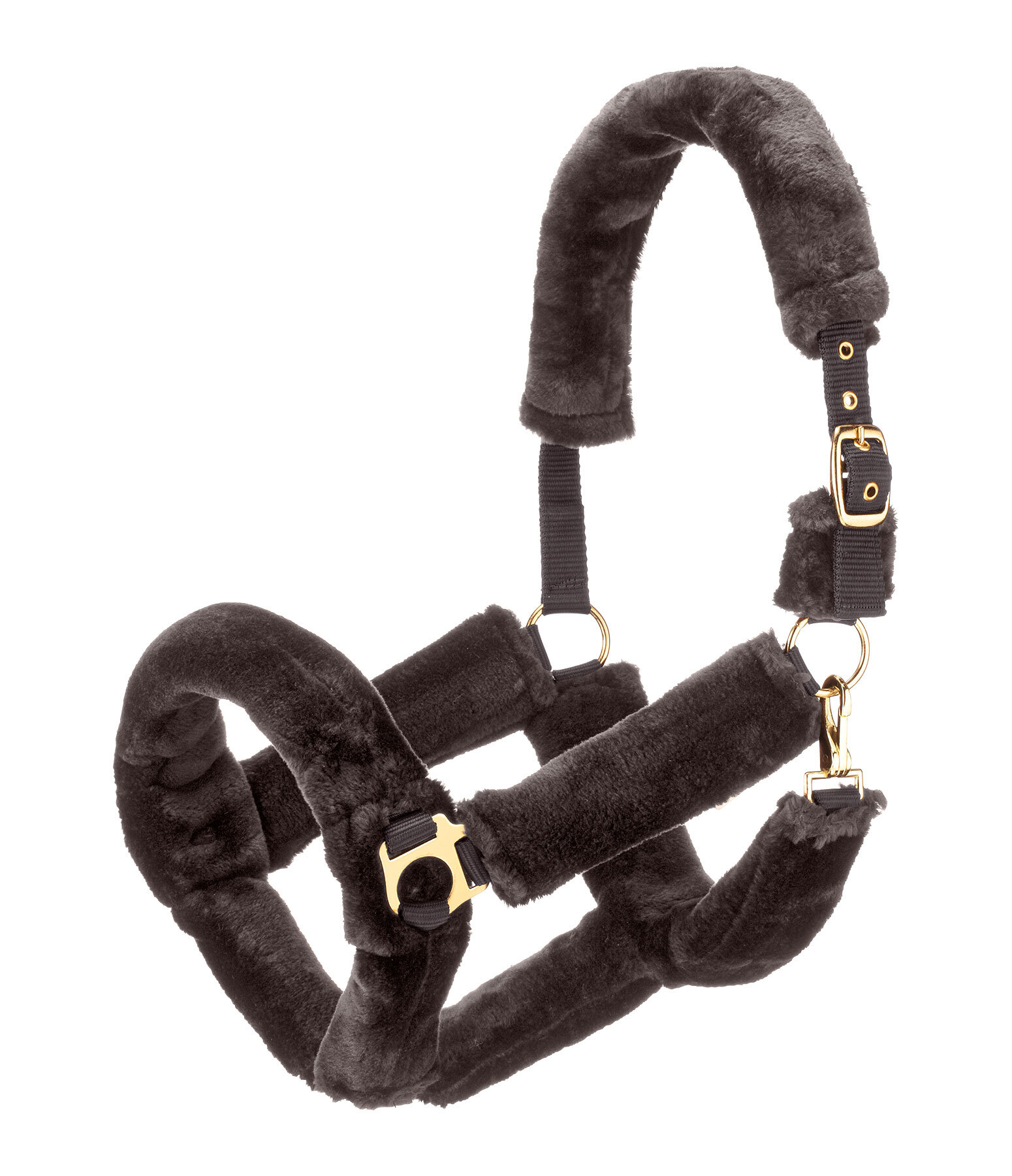 Licol en polaire Teddy  Protection