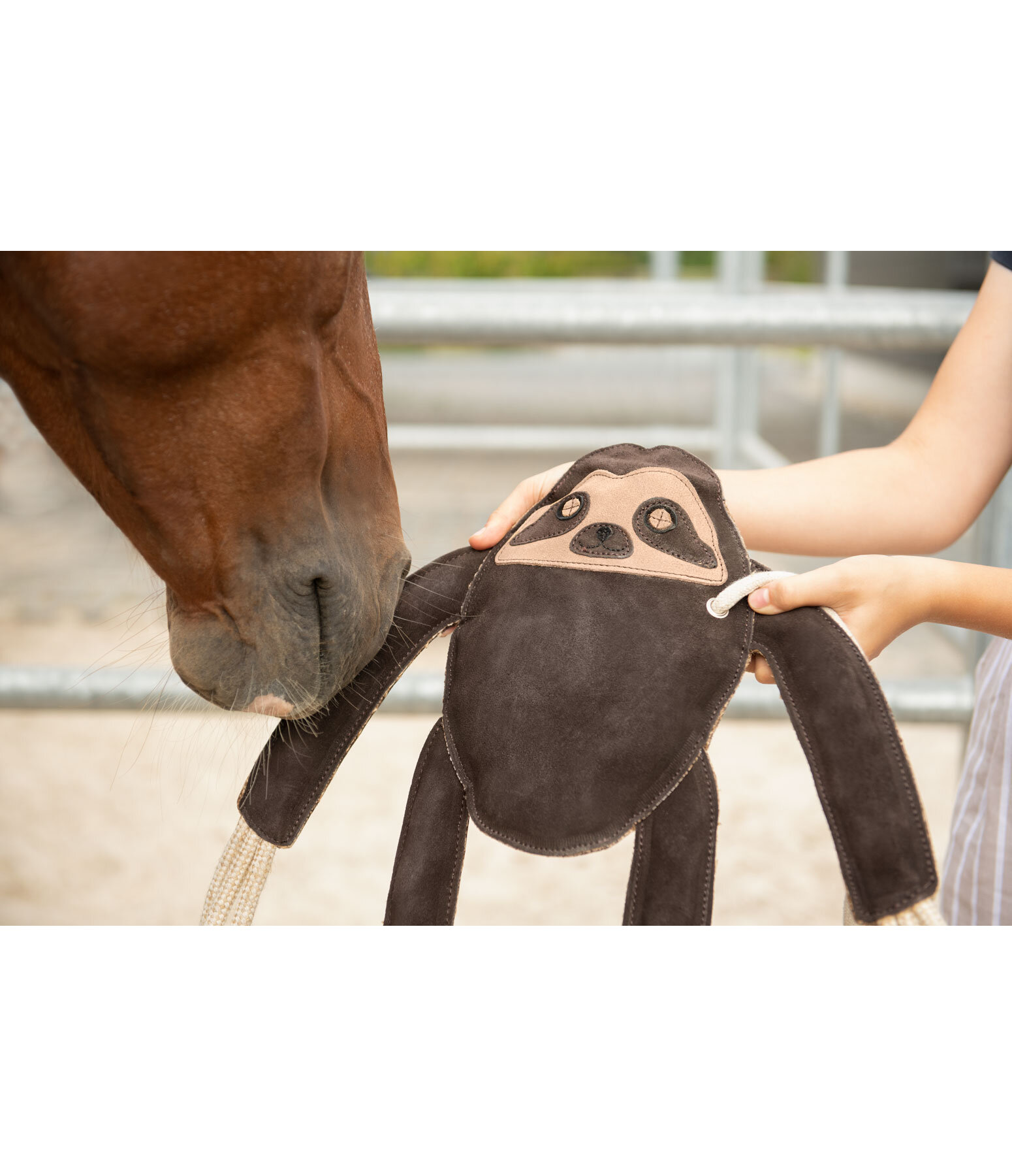 Jouet paresseux pour cheval - Equipement pour l'écurie & le manège - Kramer  Equitation