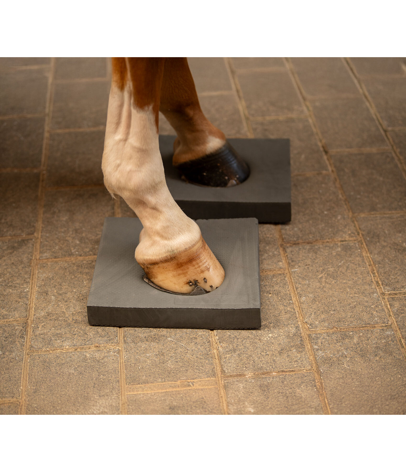 Pad d'quilibre  Balance