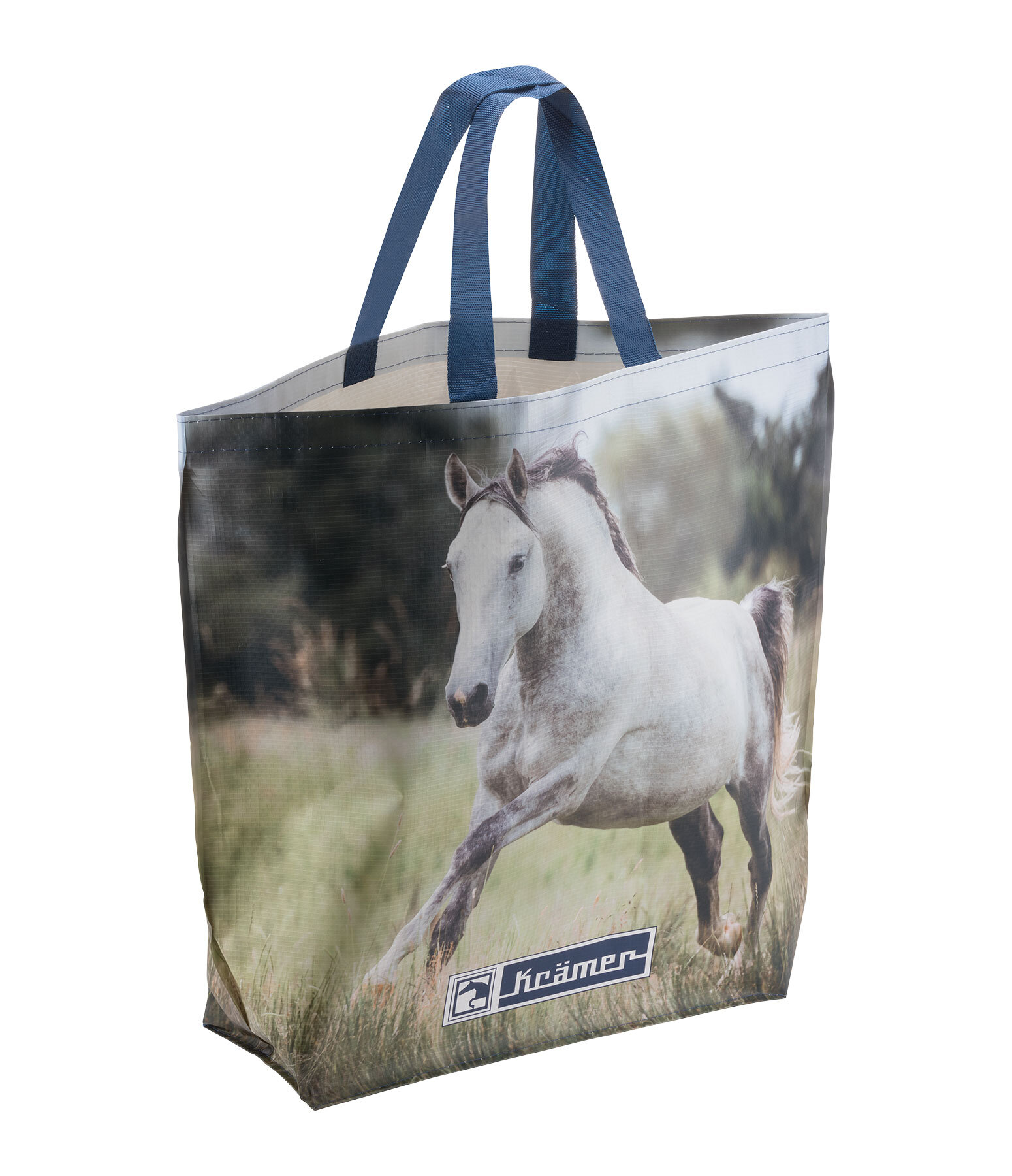 Petit sac cabas Kramer