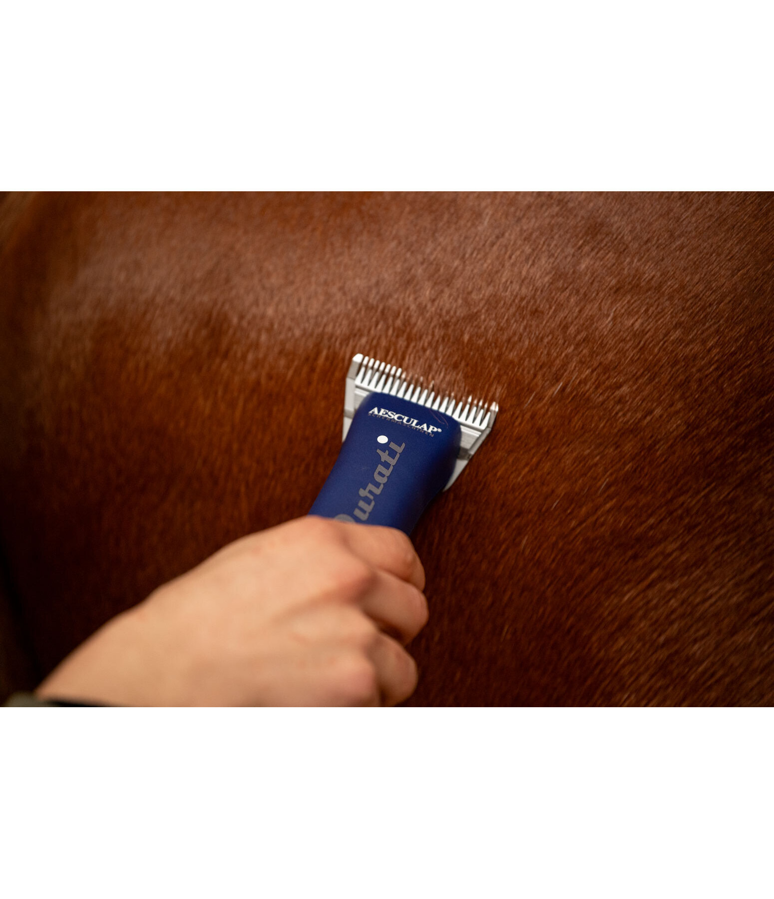 Tondeuse  Durati Horse