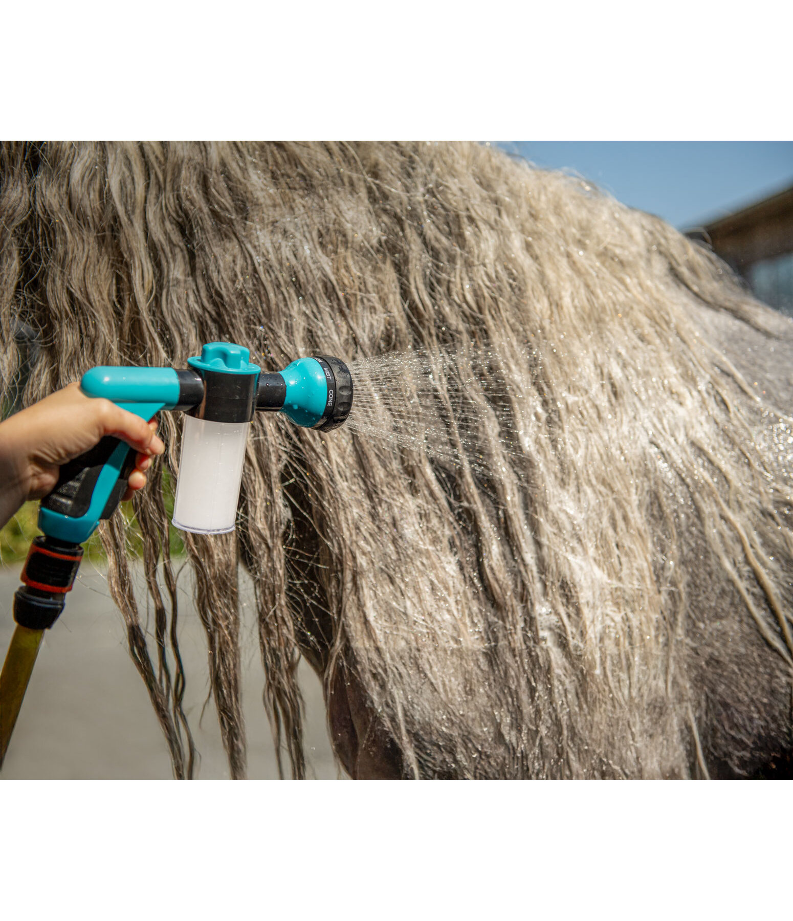 Pistolet de douche pour chevaux