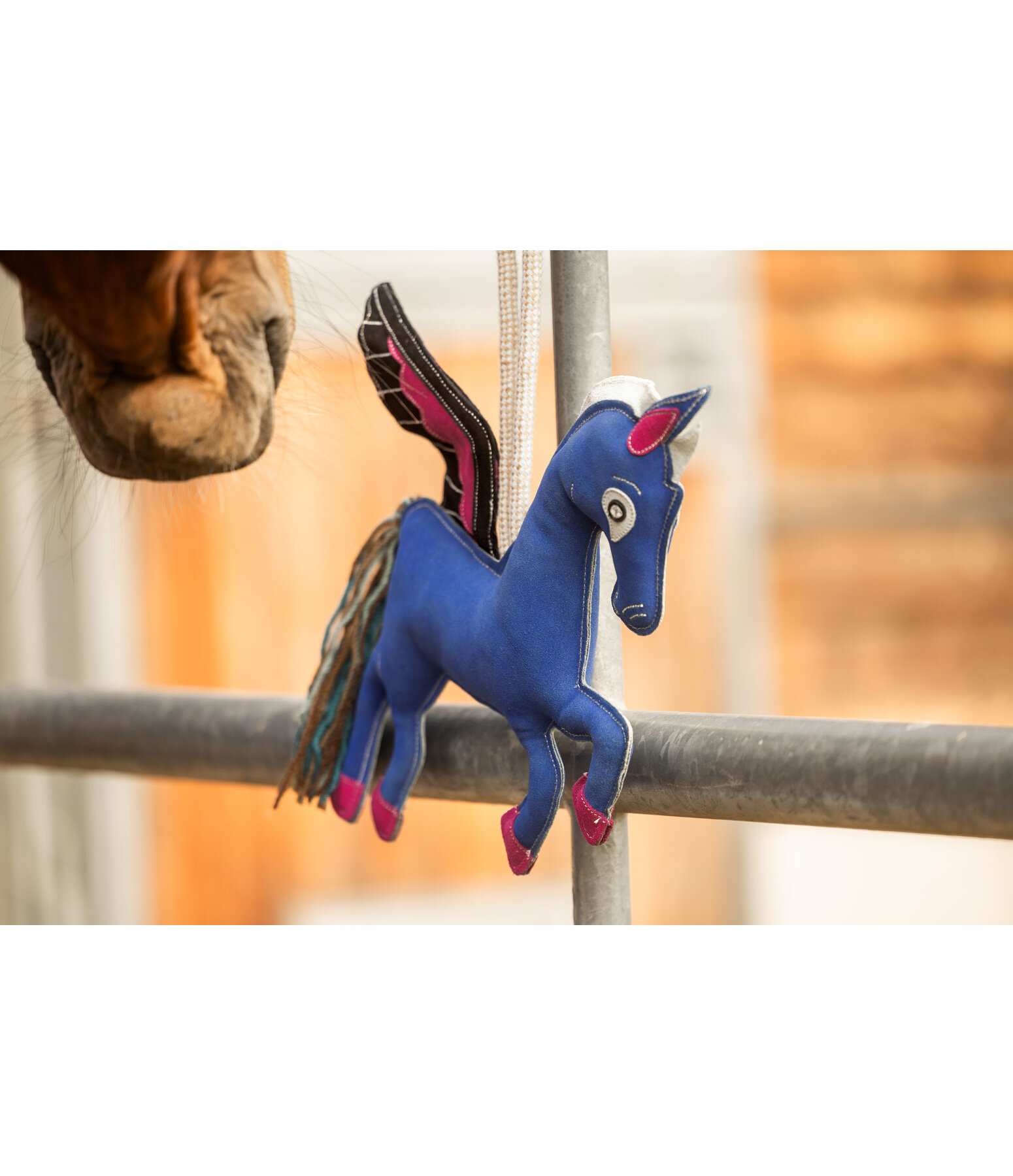 Jouet pour cheval  P�gase