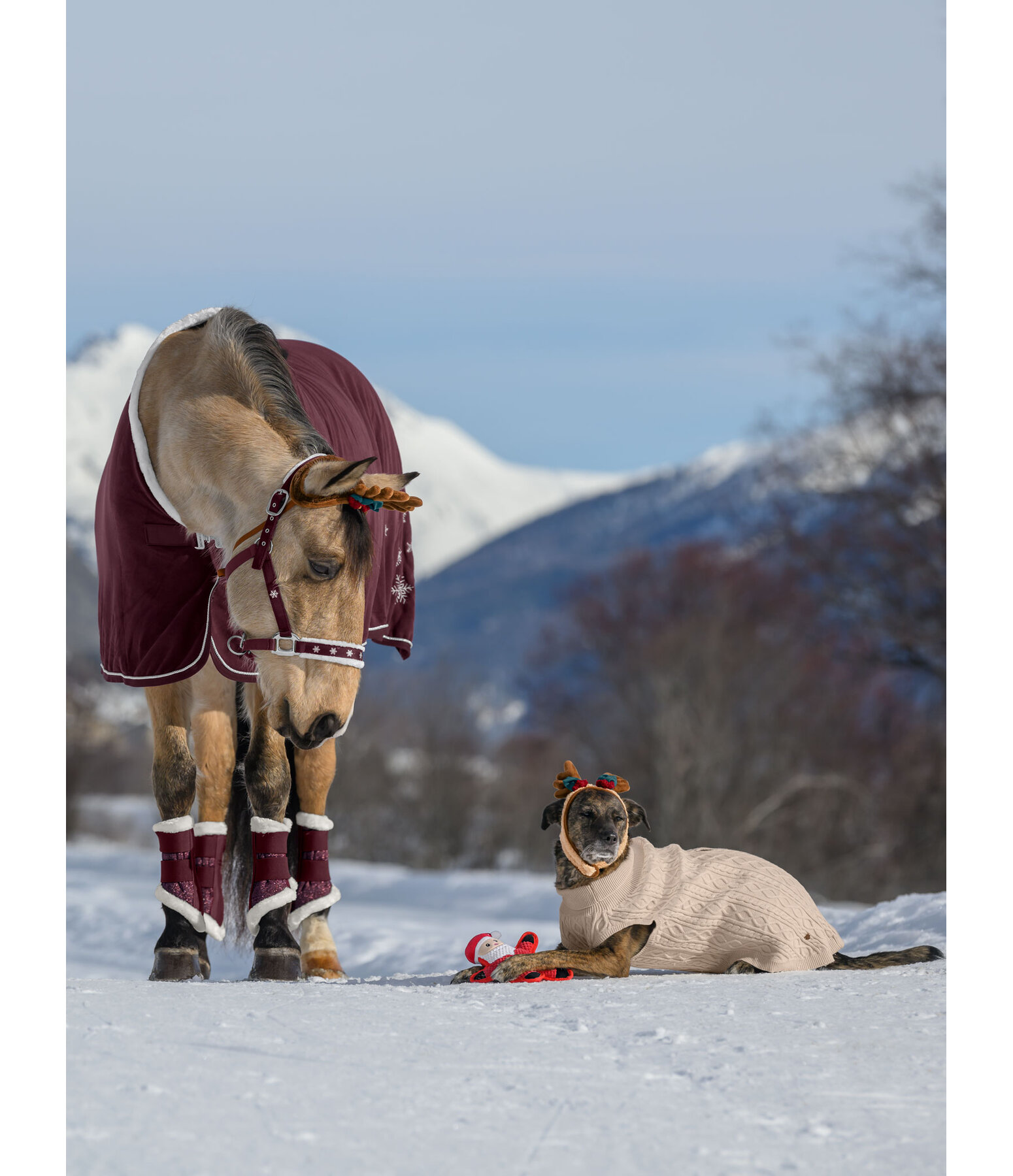 Calendrier de l'Avent pour cheval