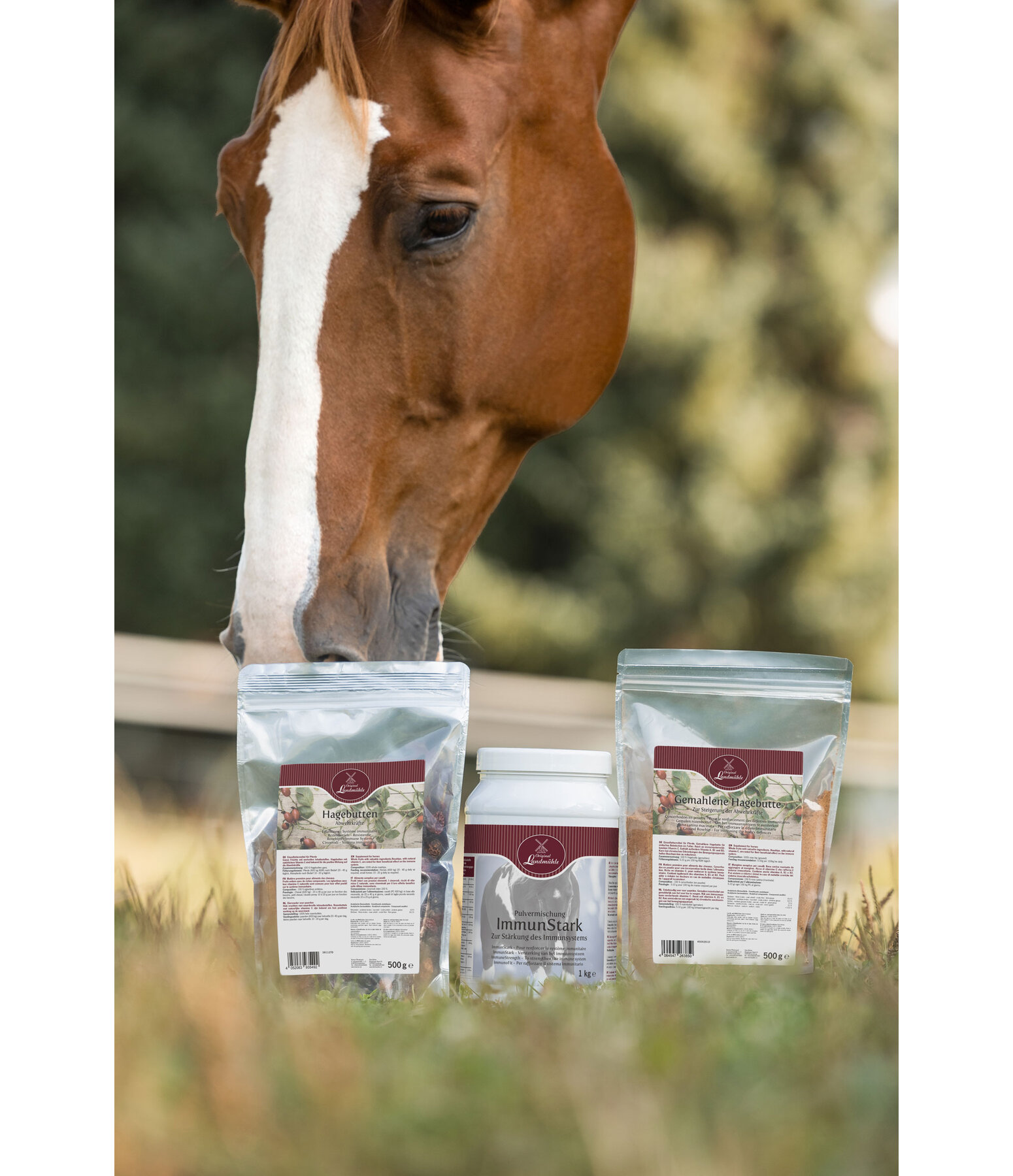 Poudre Immunit  ImmunStark