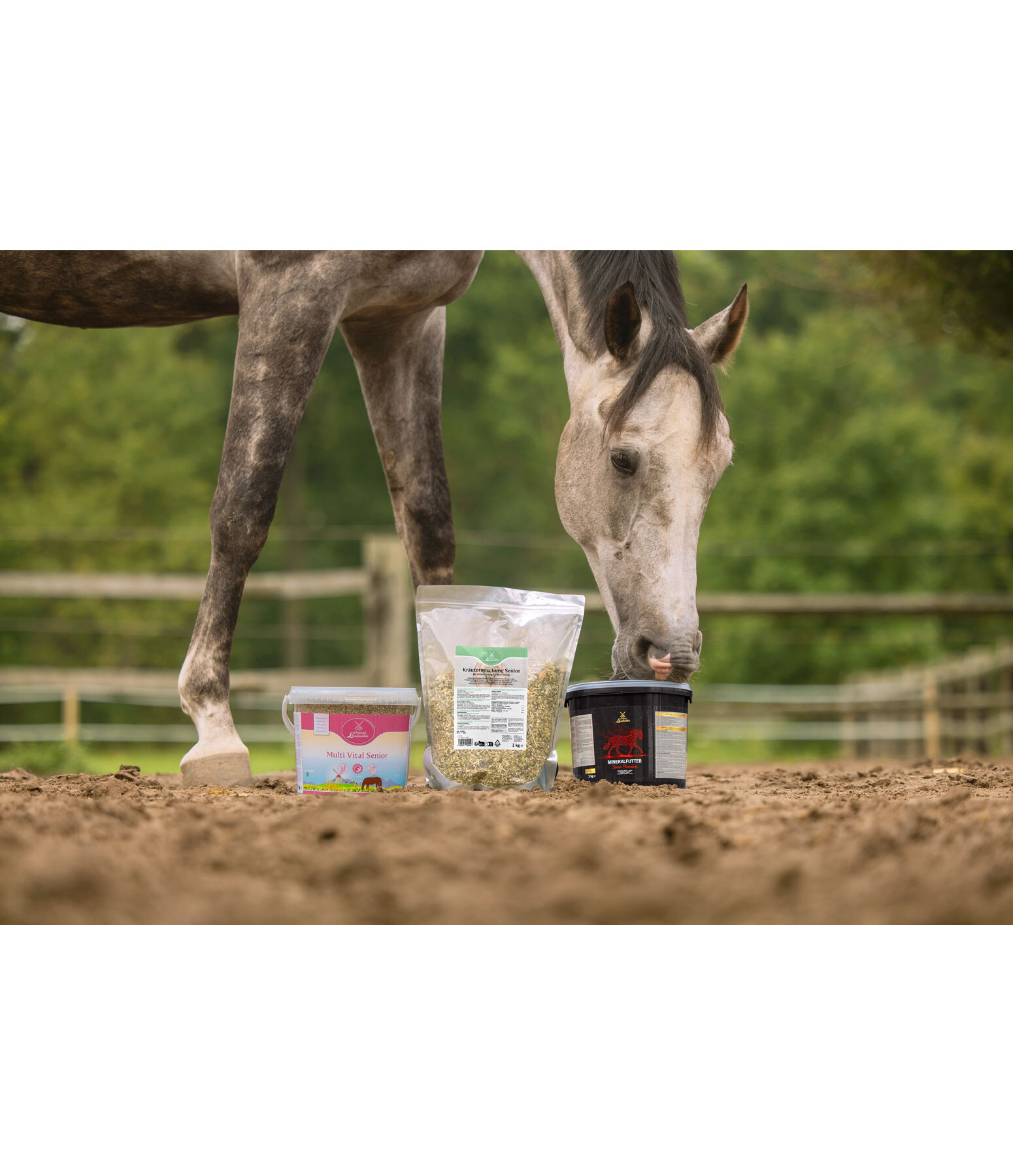 M�lange d'herbes Senior