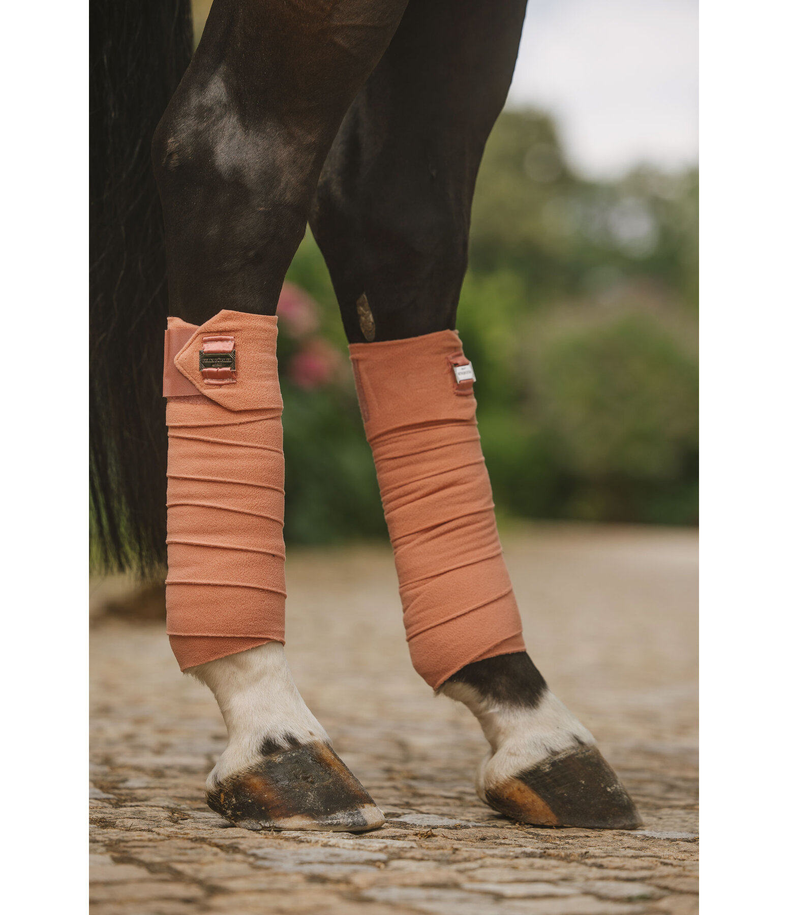 Bandes en polaire  Essential