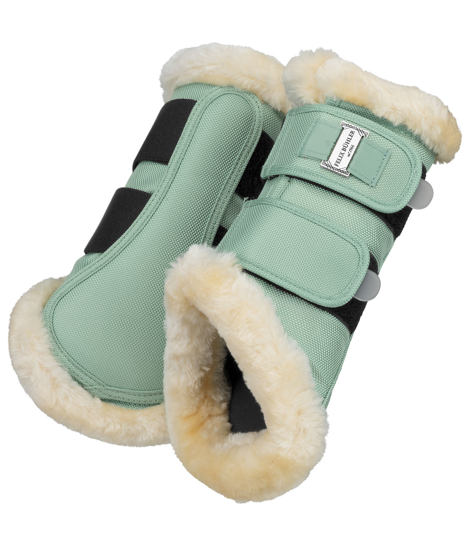 Gutres de dressage en polaire Teddy  Essential (antrieurs)