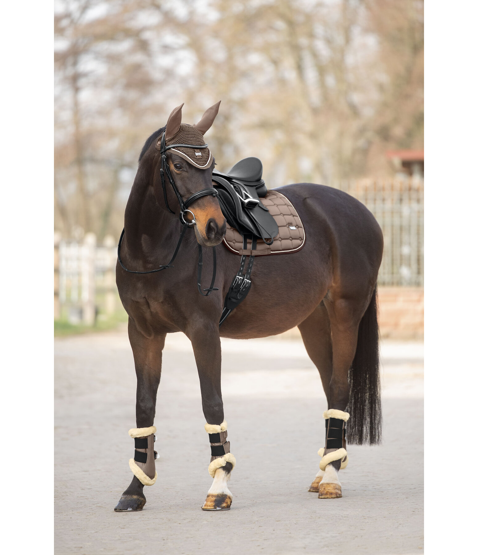Gu�tres de dressage en polaire Teddy  Essential (ant�rieurs)