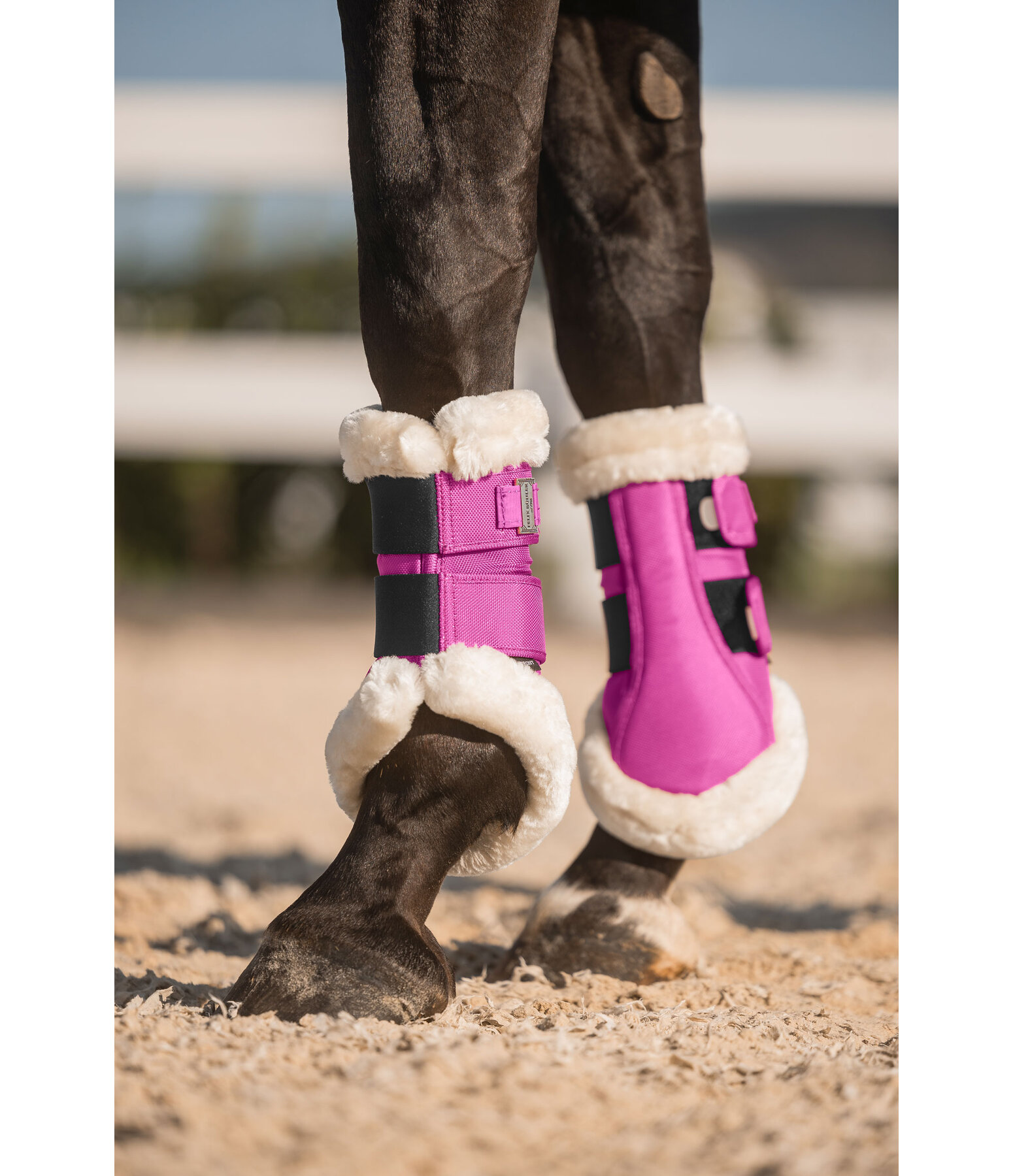 Gutres de dressage en polaire Teddy  Essential (antrieurs)