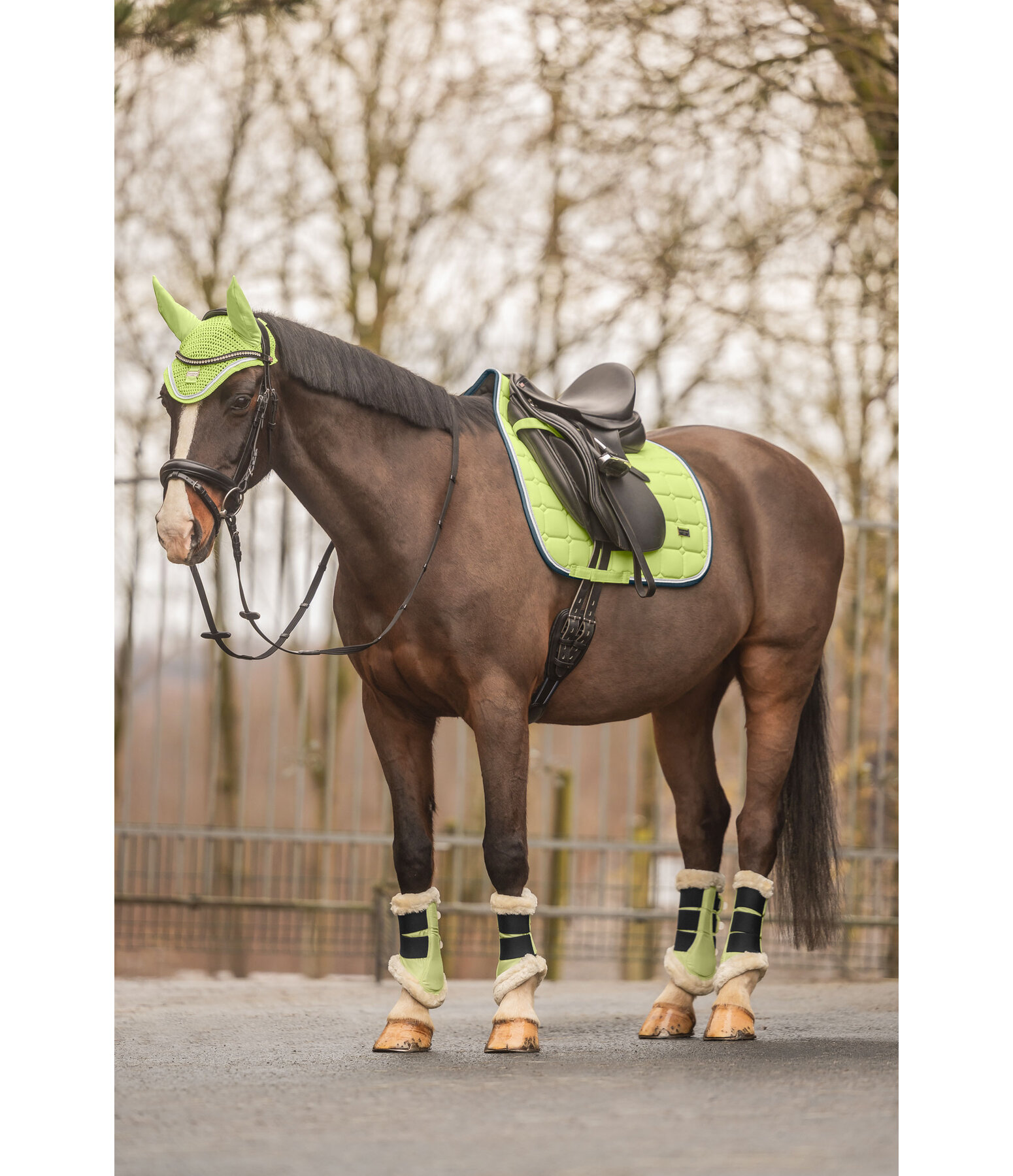 Gutres de dressage en polaire Teddy  Essential (antrieurs)