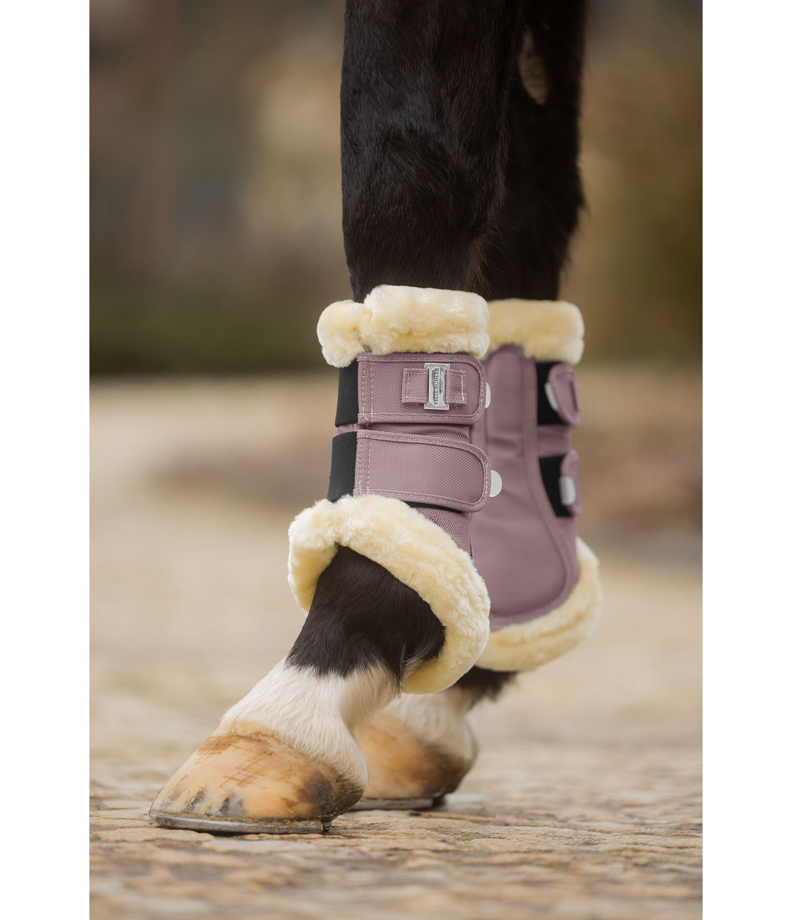 Gu�tres de dressage en polaire Teddy  Essential (ant�rieurs)