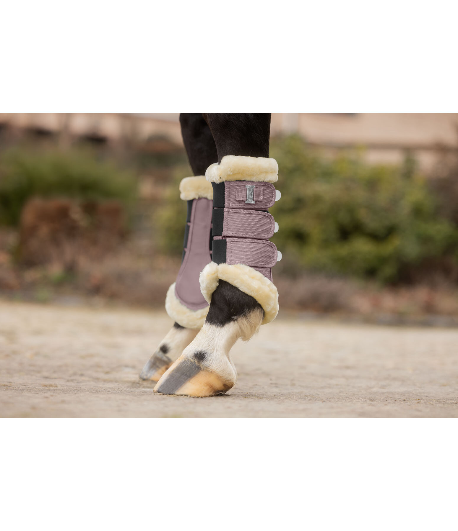 Gu�tres de dressage en polaire Teddy  Essential (ant�rieurs)