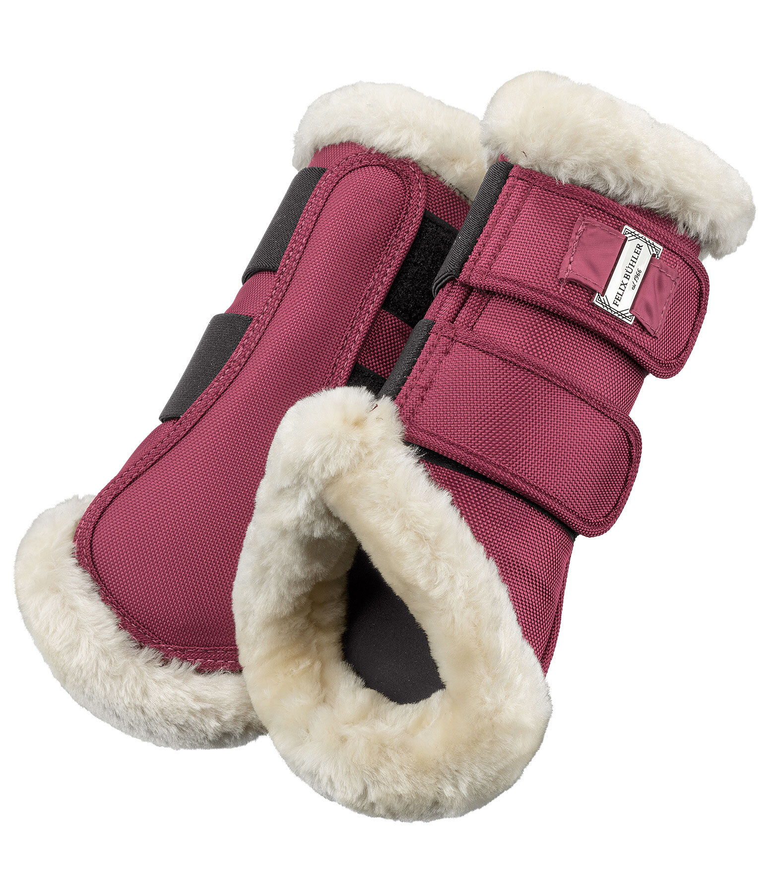 Gutres de dressage en polaire Teddy  Essential (antrieurs)