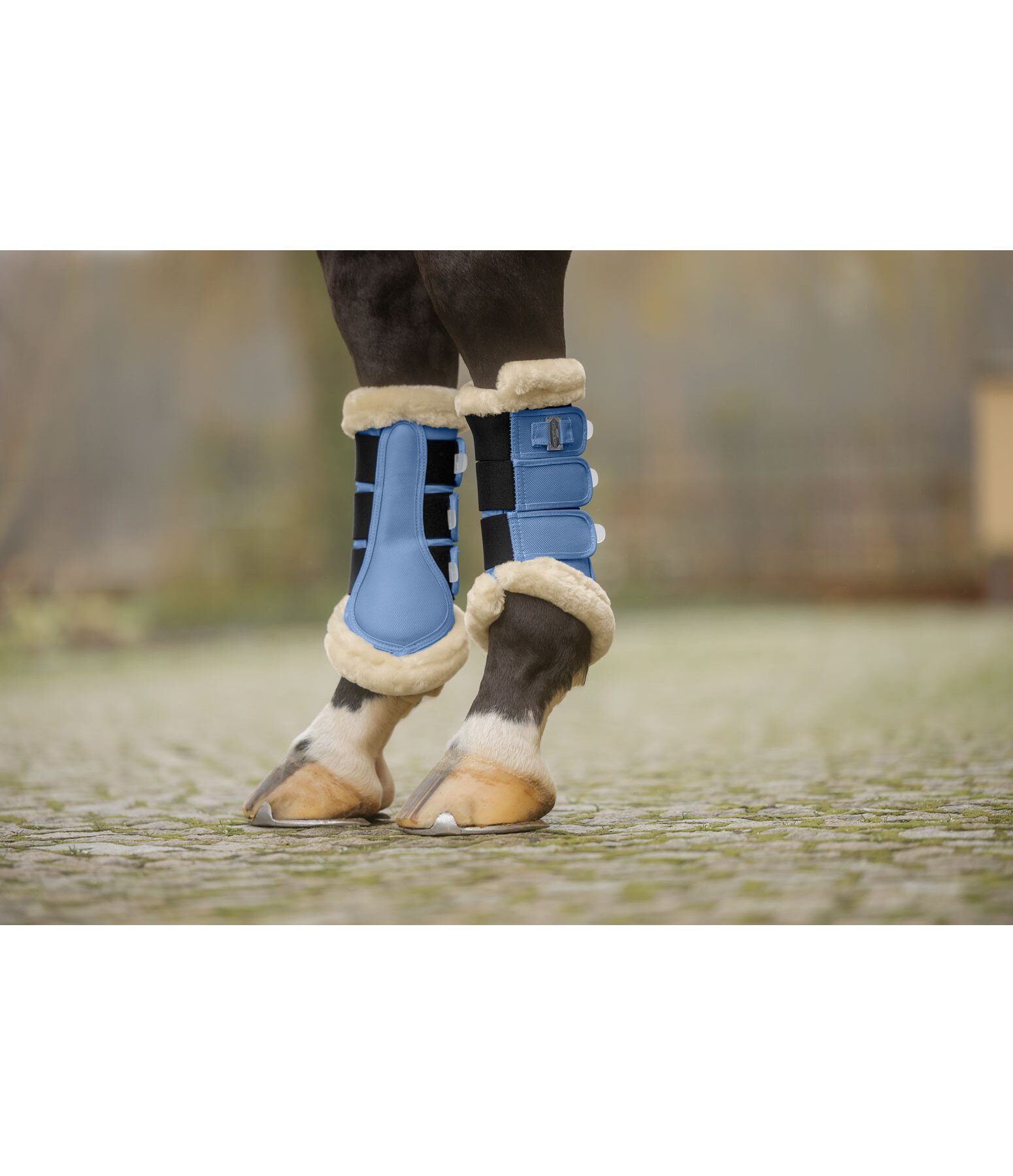 Gu�tres de dressage en polaire Teddy  Essential (post�rieurs)