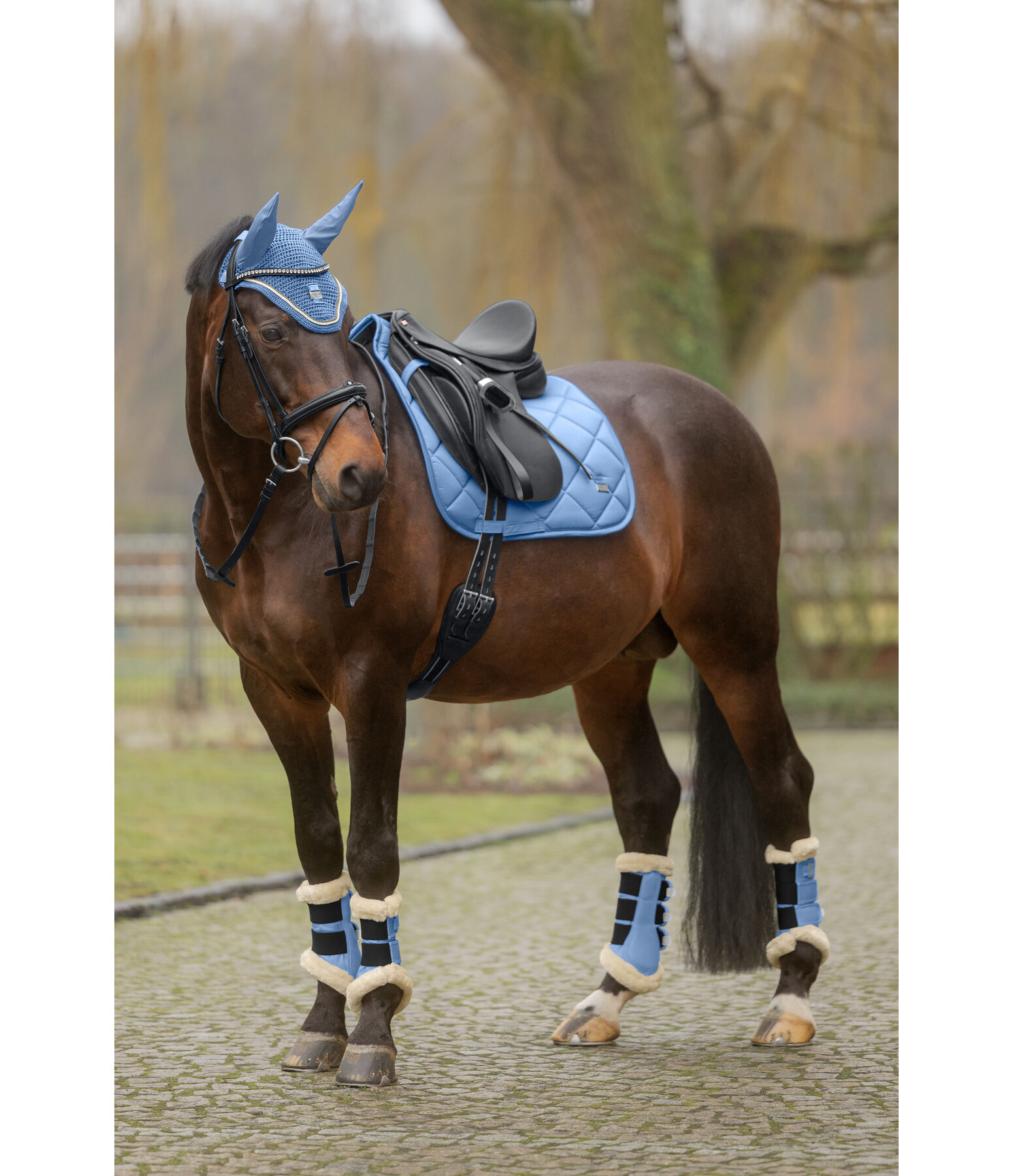 Gu�tres de dressage en polaire Teddy  Essential (post�rieurs)